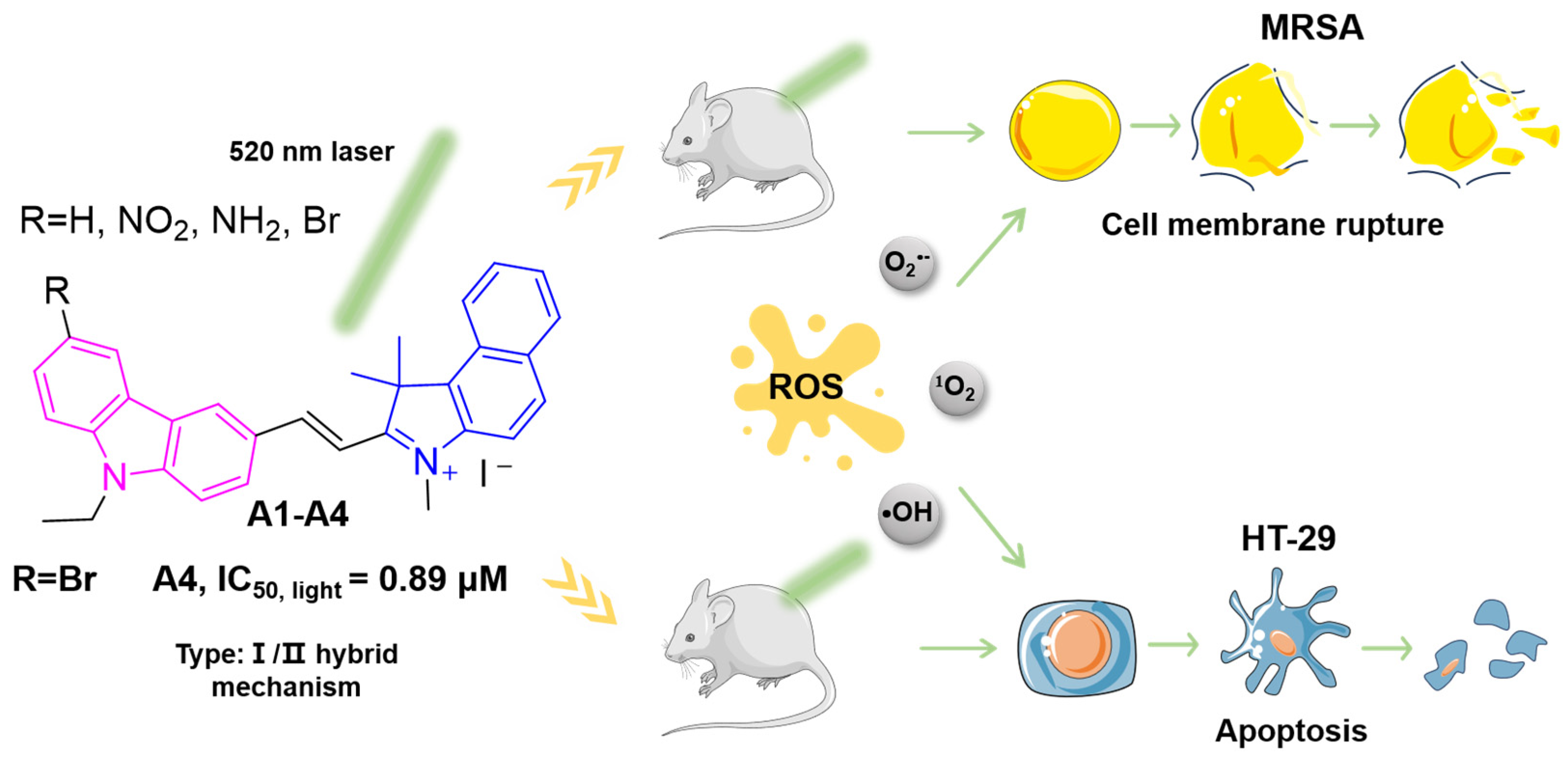 Molecules 30 02560 g001