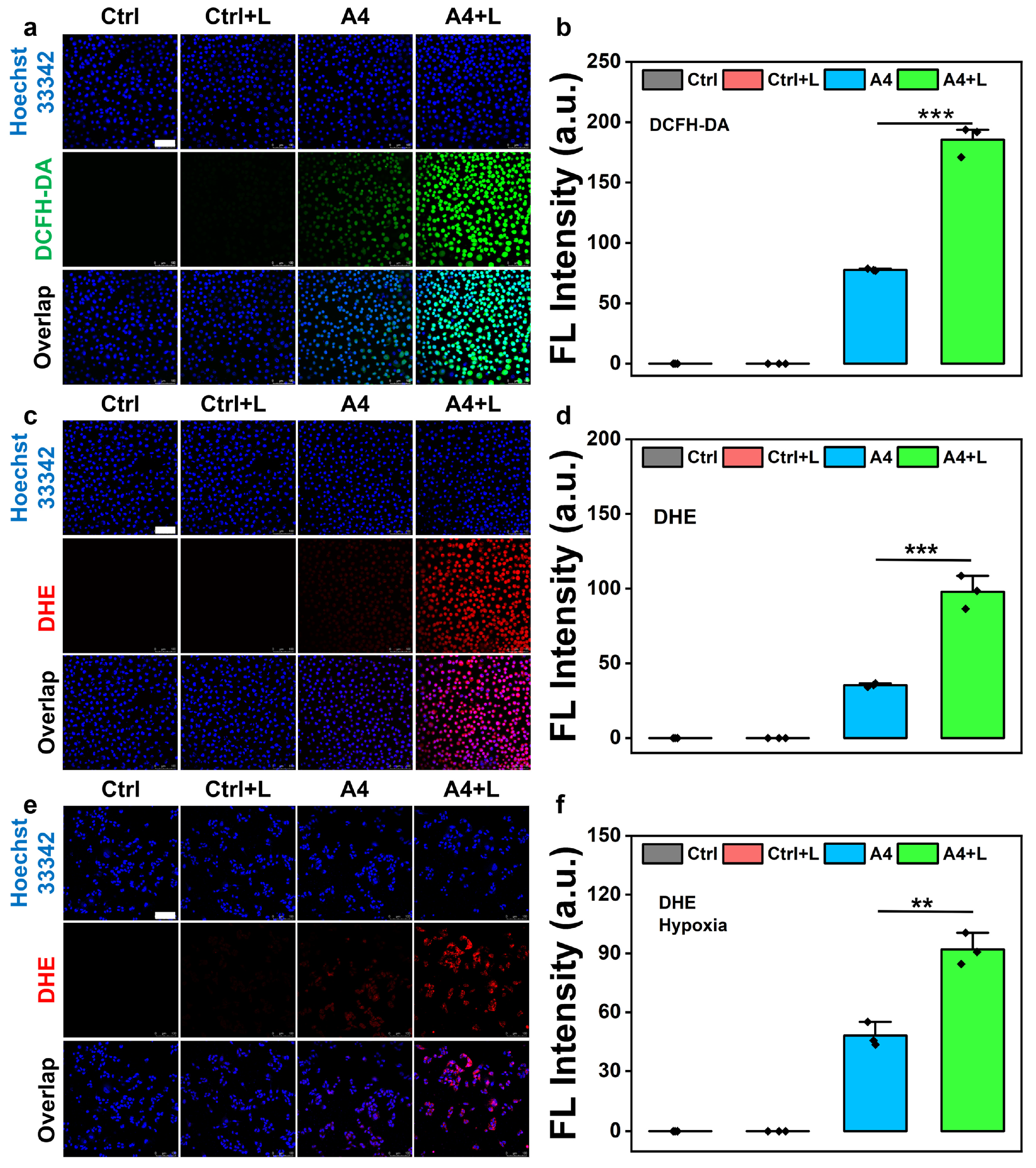 Molecules 30 02560 g004