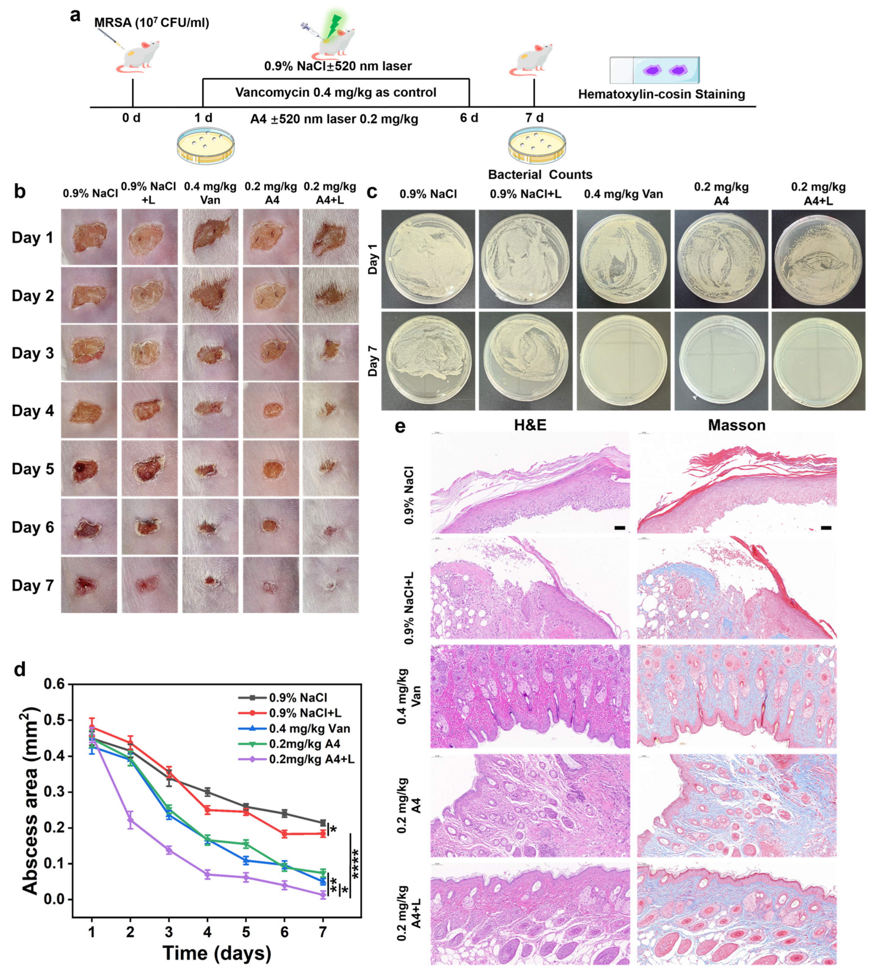Molecules 30 02560 g006