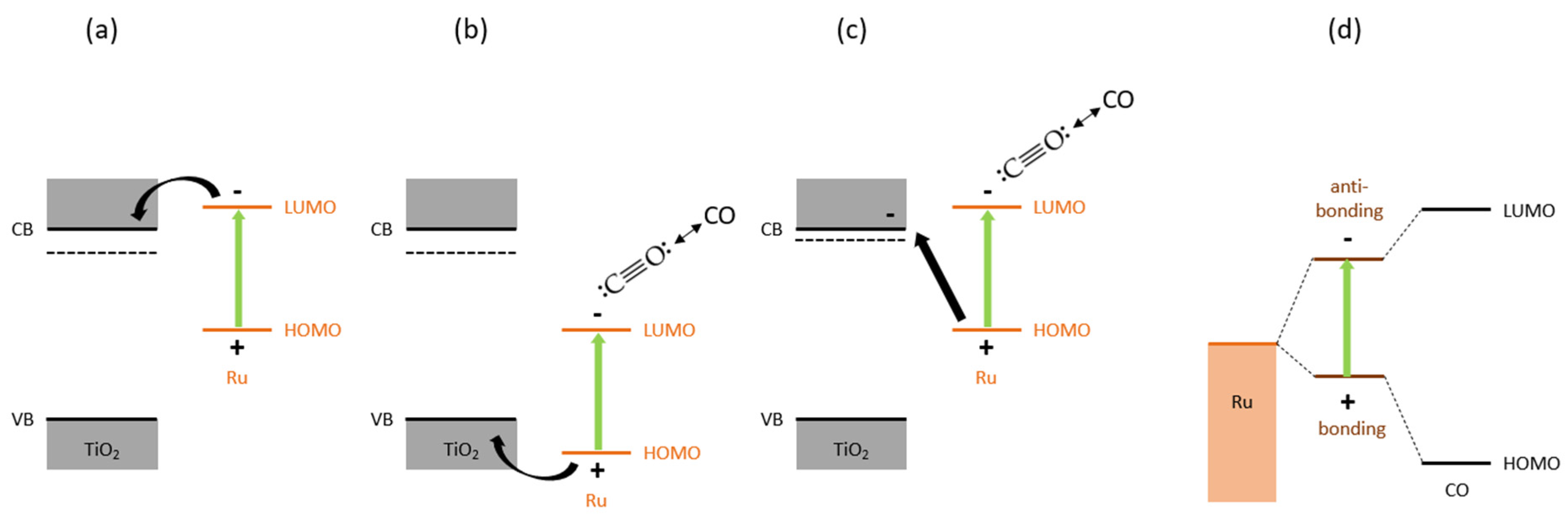Molecules 30 02577 g007