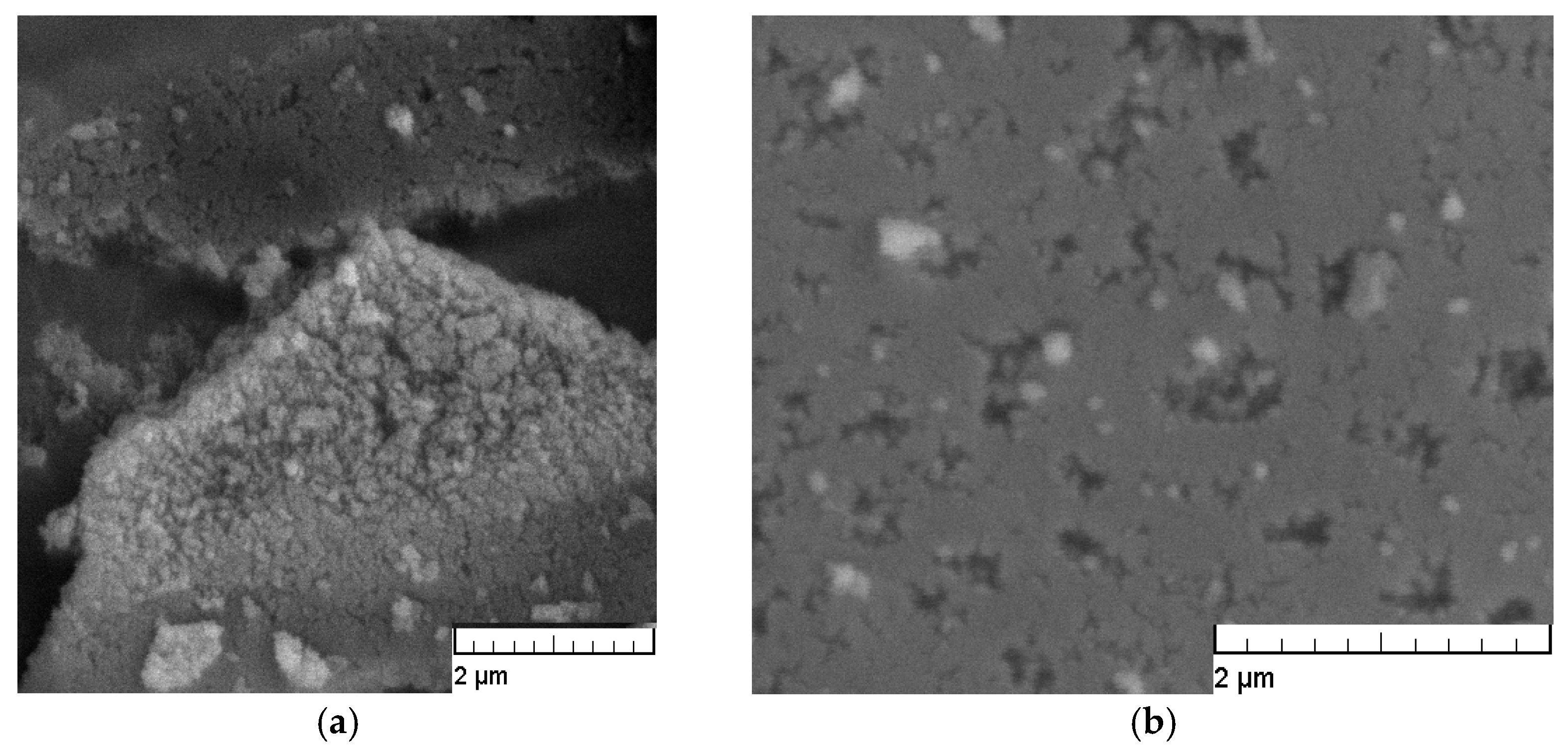Molecules 30 02593 g005 Molecules 30 02593 g005