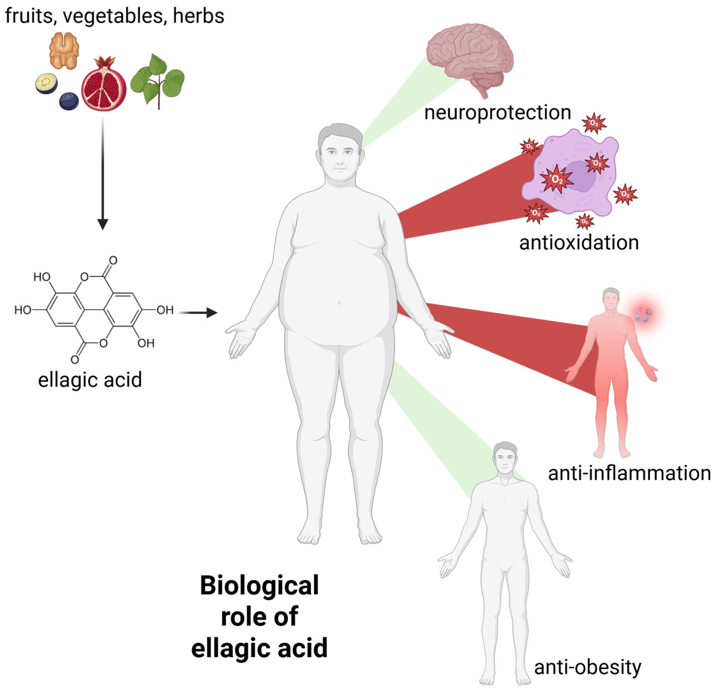 Molecules 30 02596 g003