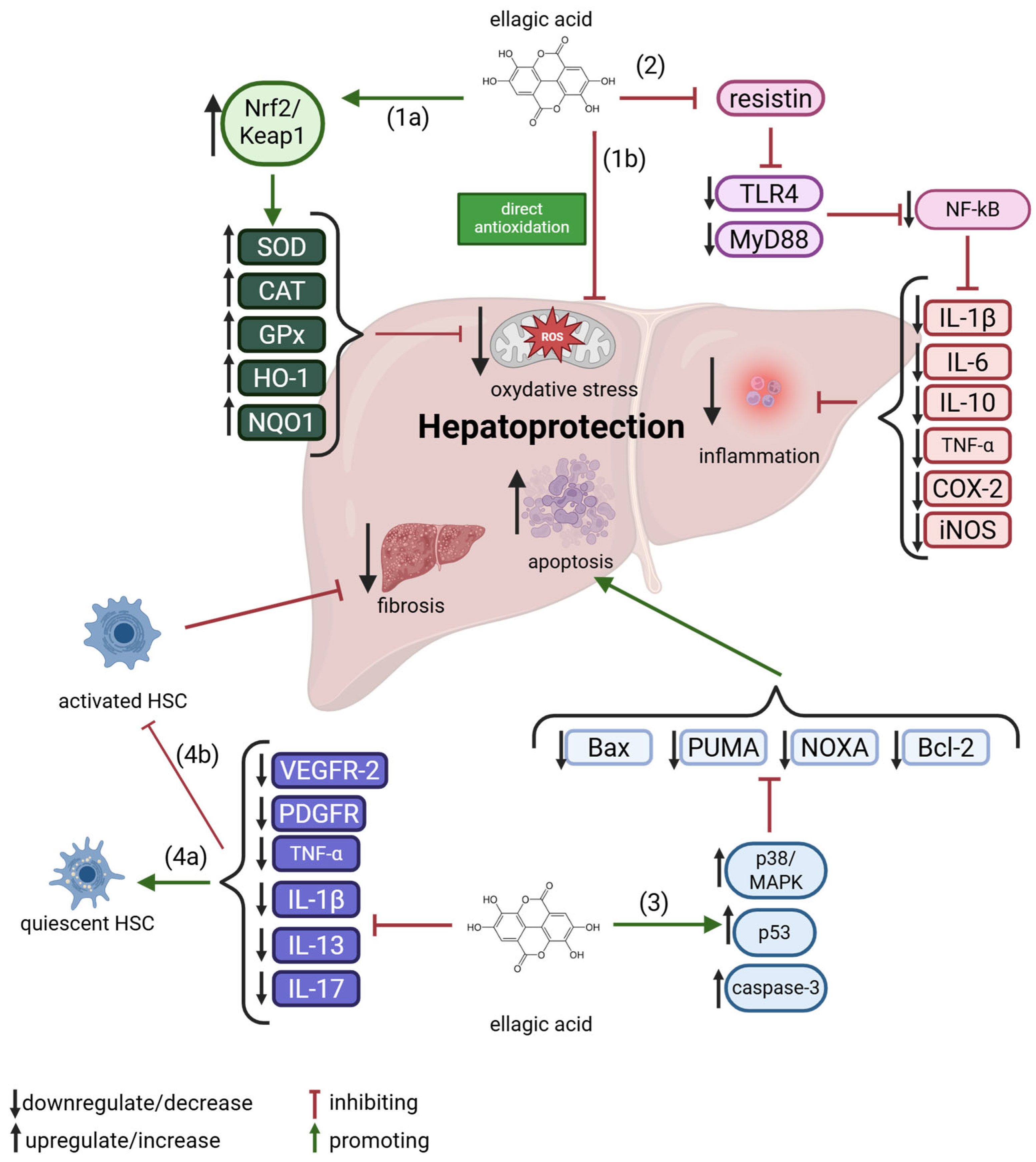 Molecules 30 02596 g004
