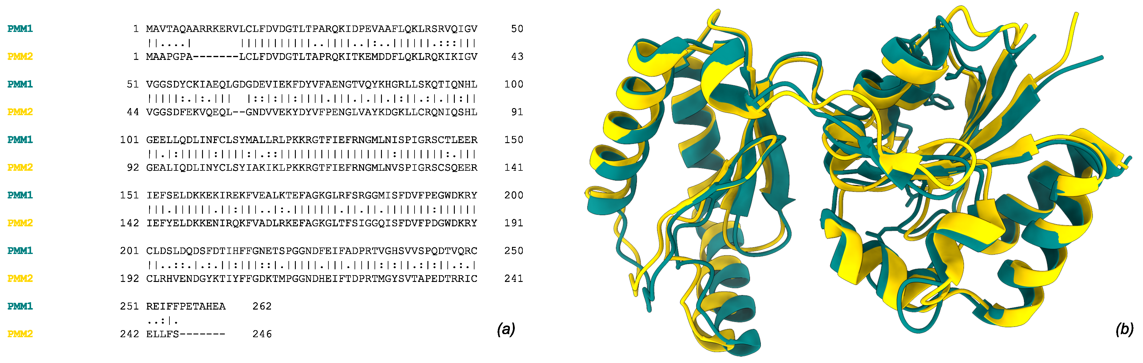 Molecules 30 02599 g001 Molecules 30 02599 g001