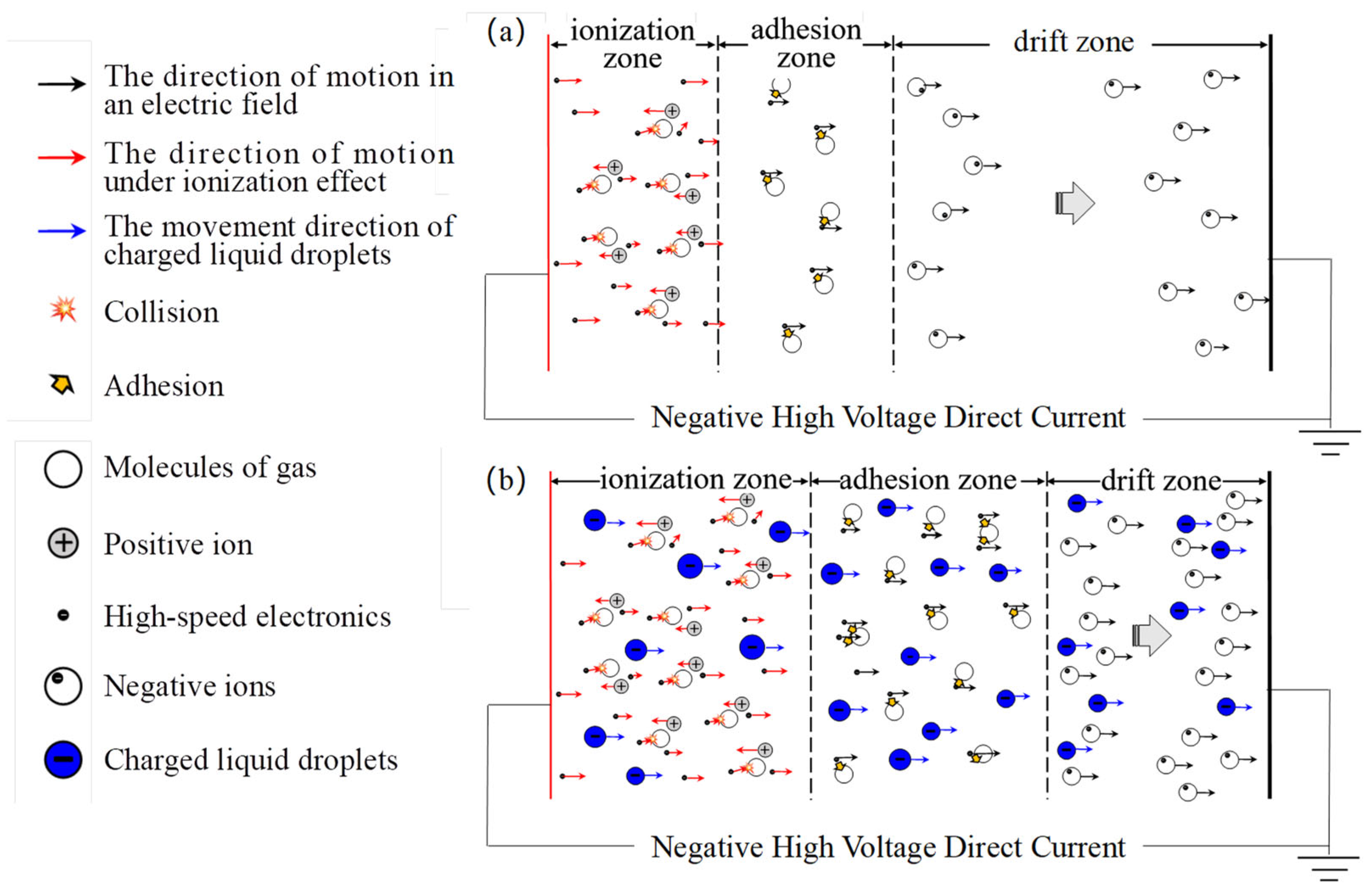 Molecules 30 02609 g005