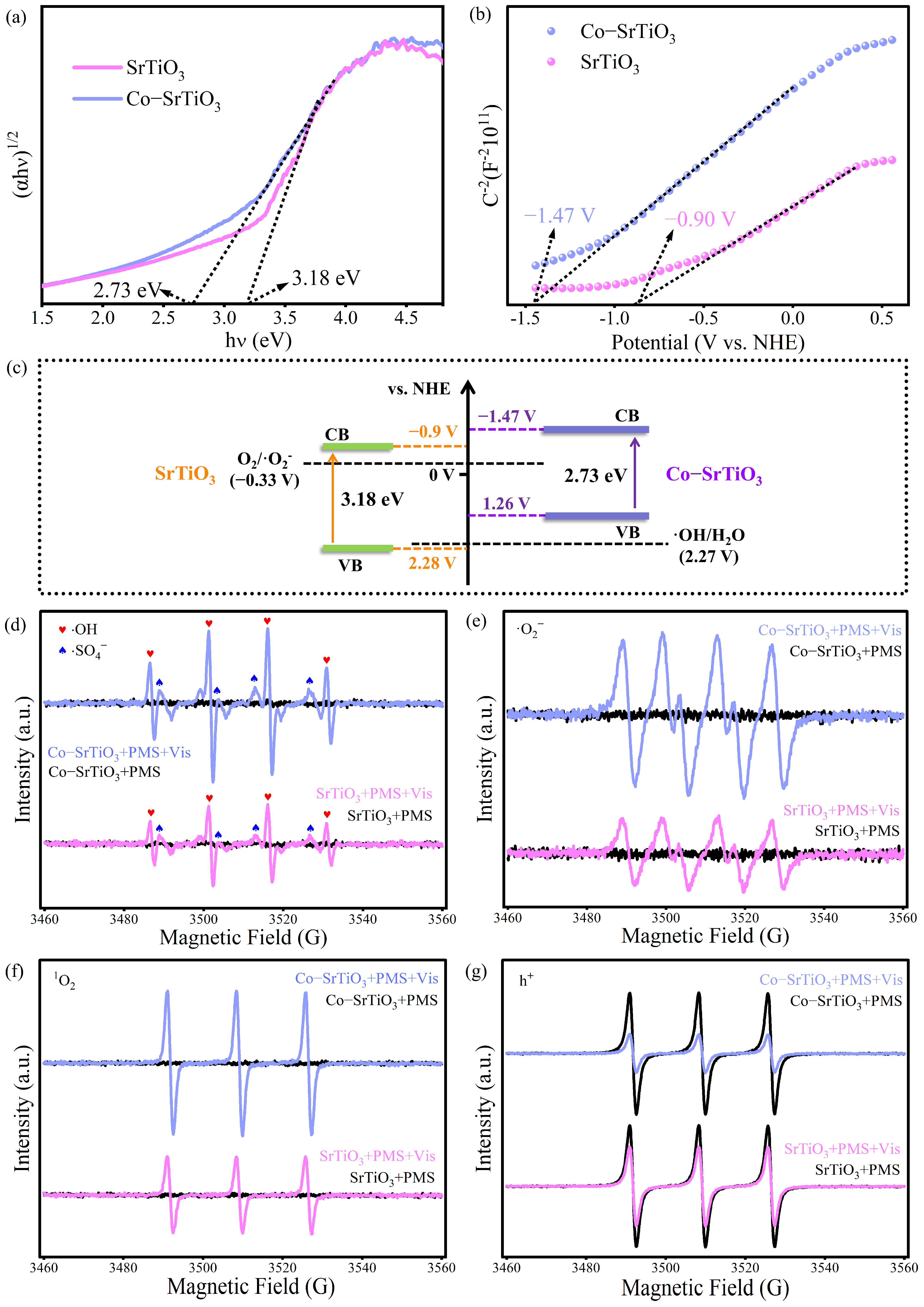 Molecules 30 02618 g005