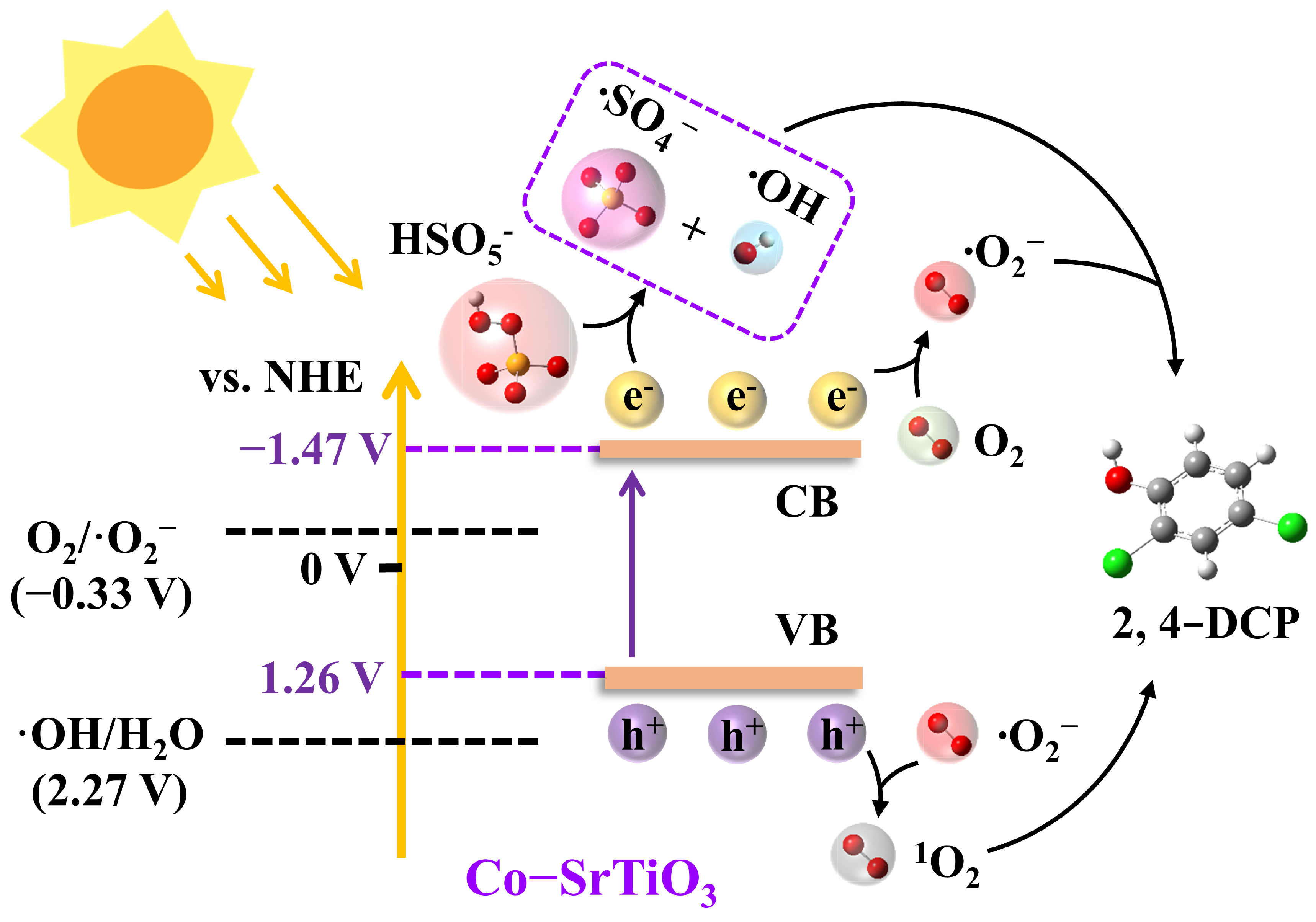 Molecules 30 02618 g007