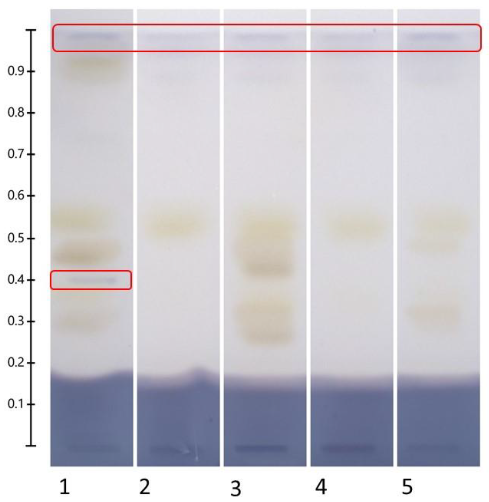 Molecules 30 02620 g009 Molecules 30 02620 g009