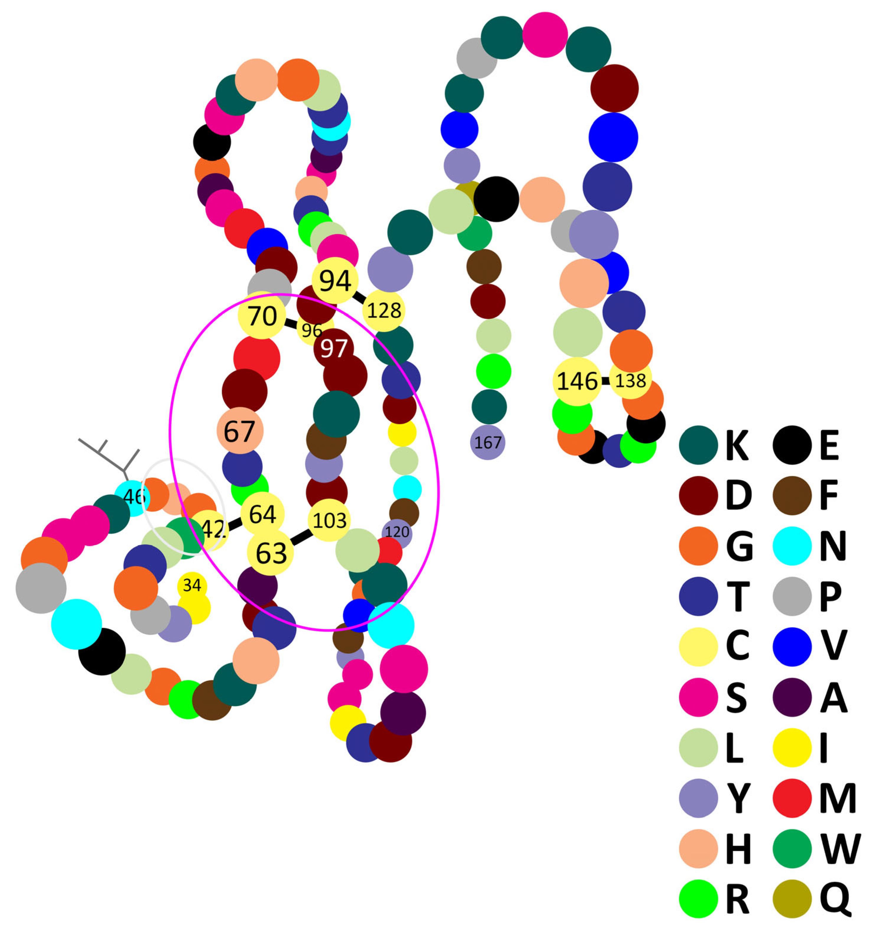 Molecules 30 02623 g001
