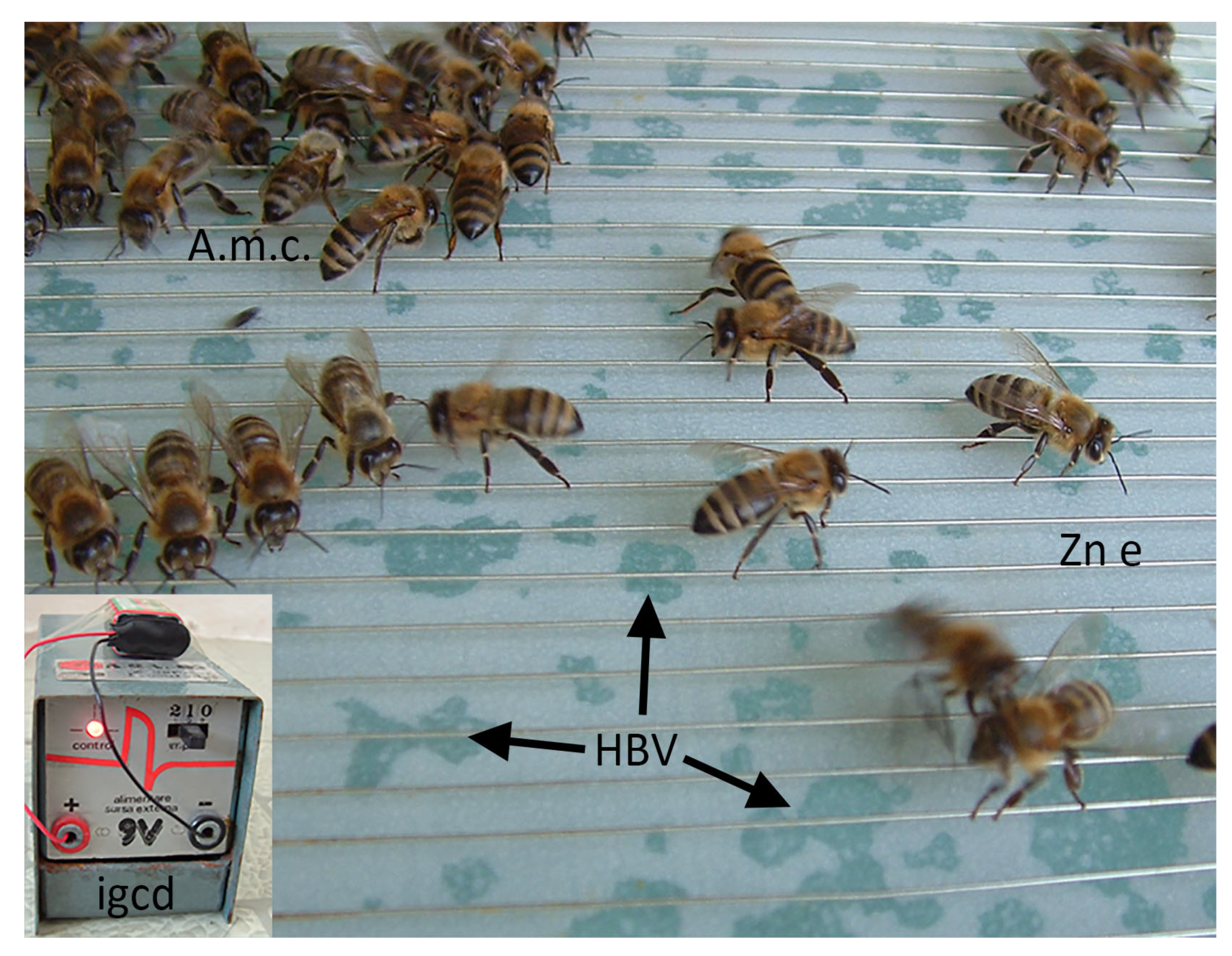 Molecules 30 02623 g002