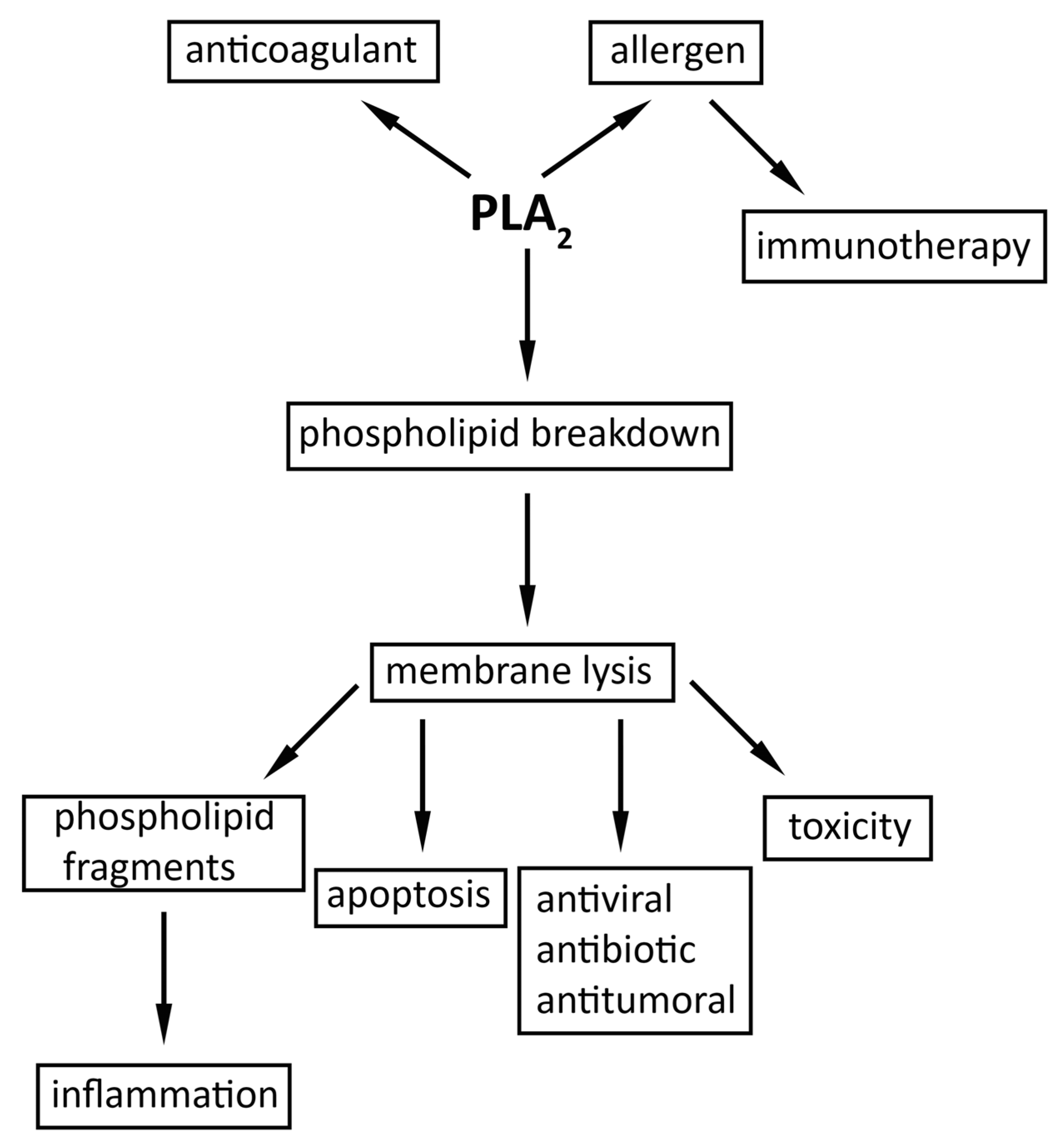 Molecules 30 02623 g003
