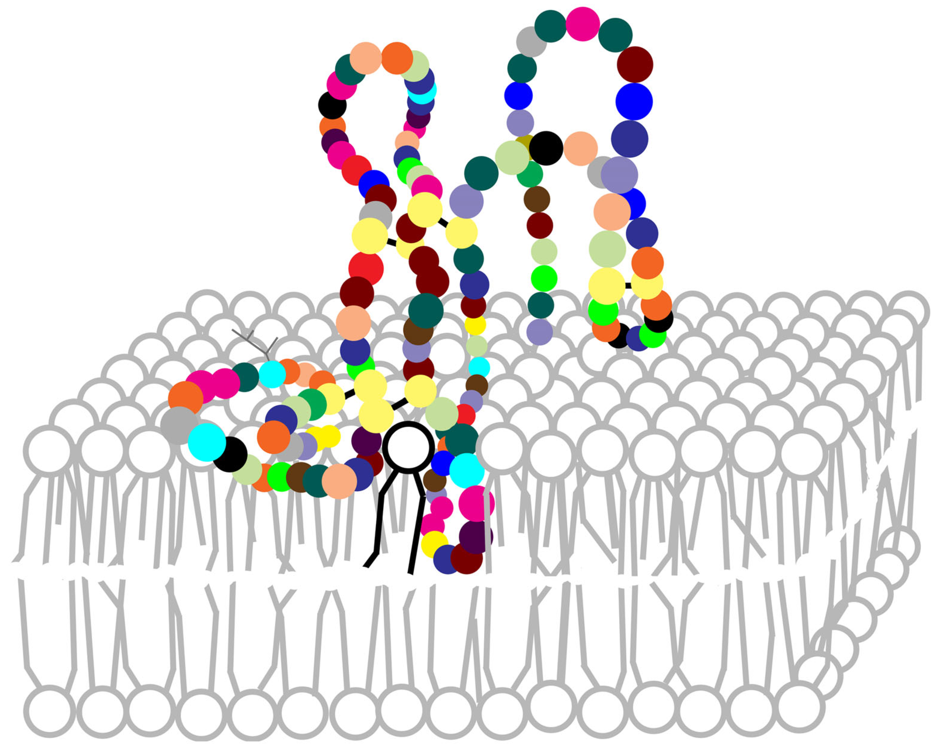 Molecules 30 02623 g004