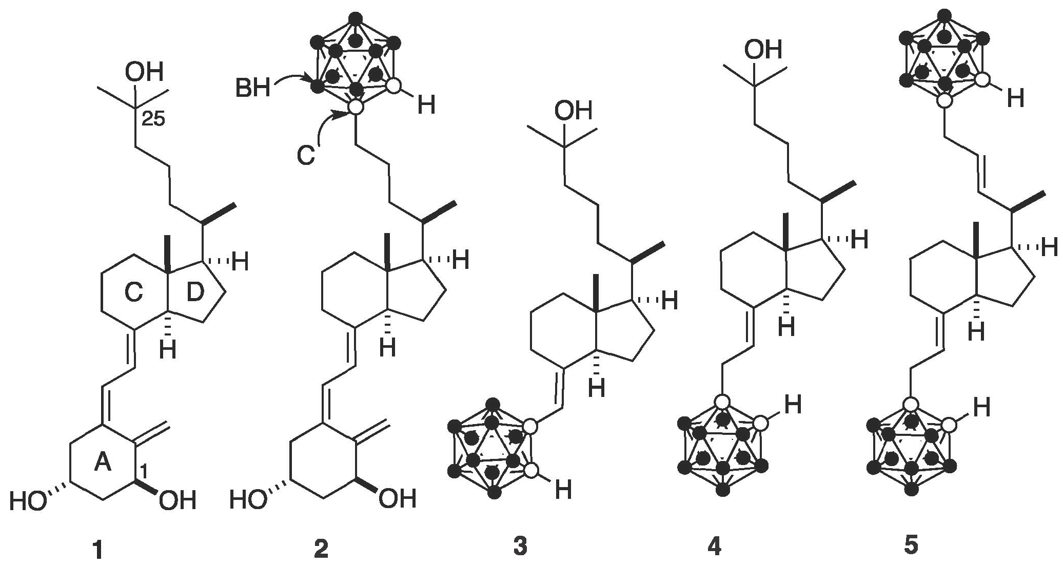 Molecules 30 02637 g001
