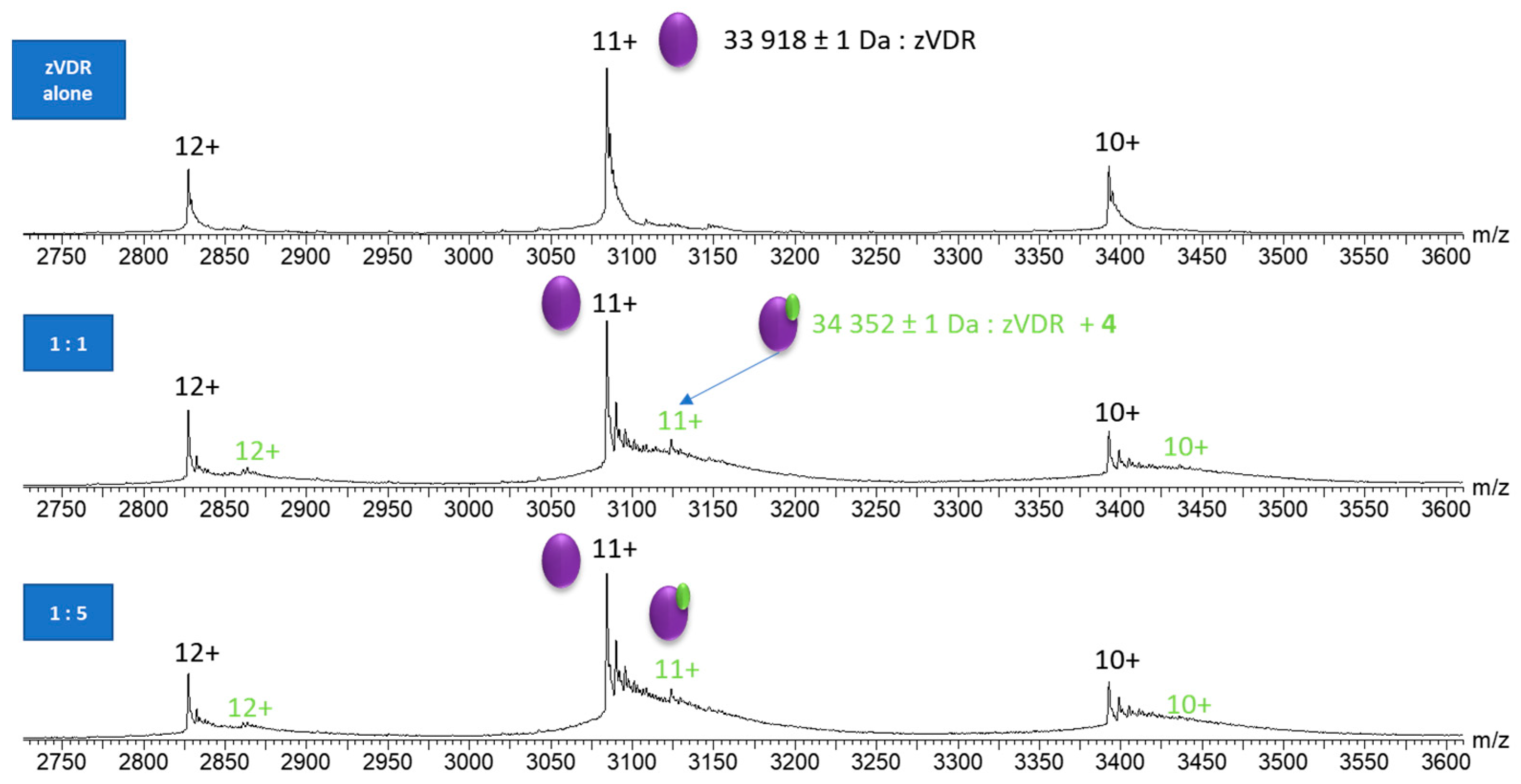 Molecules 30 02637 g003