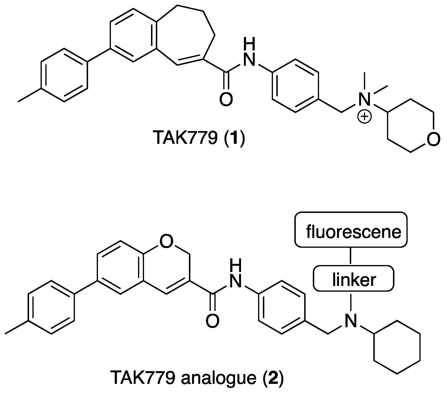 Molecules 30 02655 g001