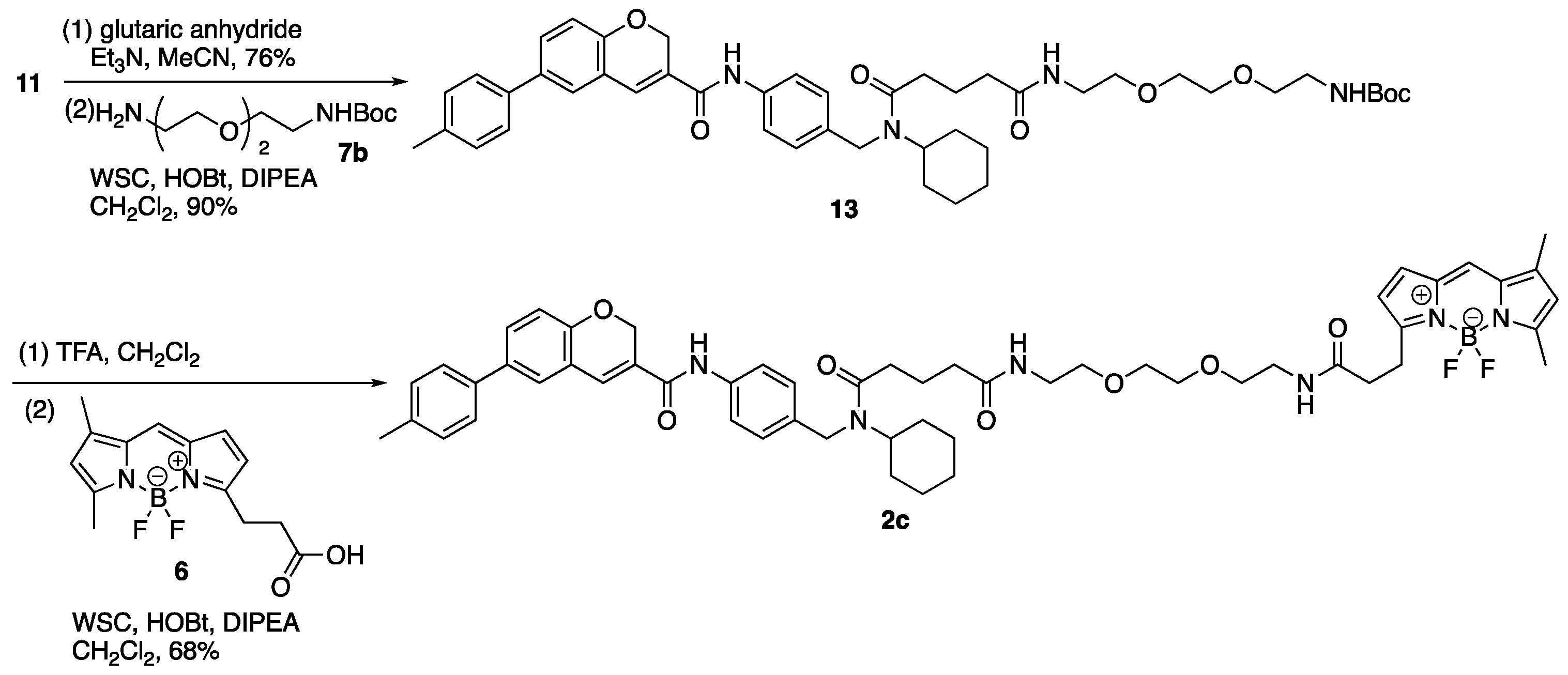 Molecules 30 02655 sch004