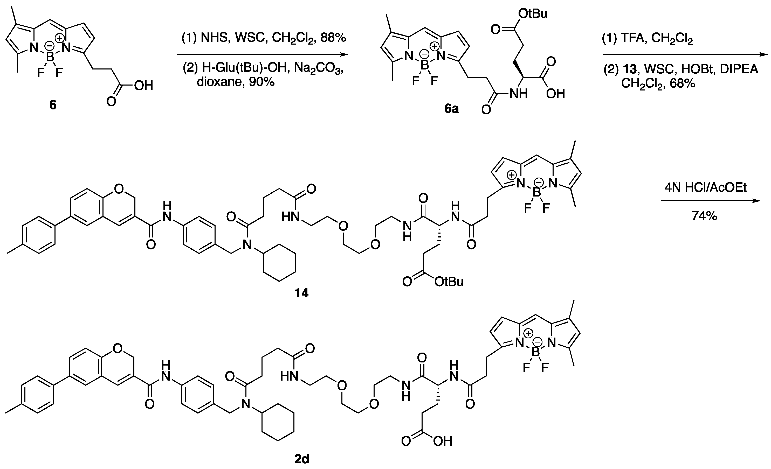 Molecules 30 02655 sch005