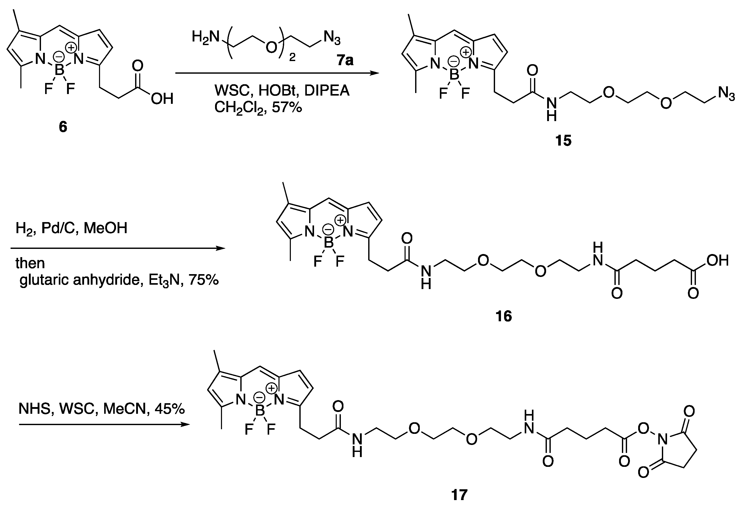 Molecules 30 02655 sch006