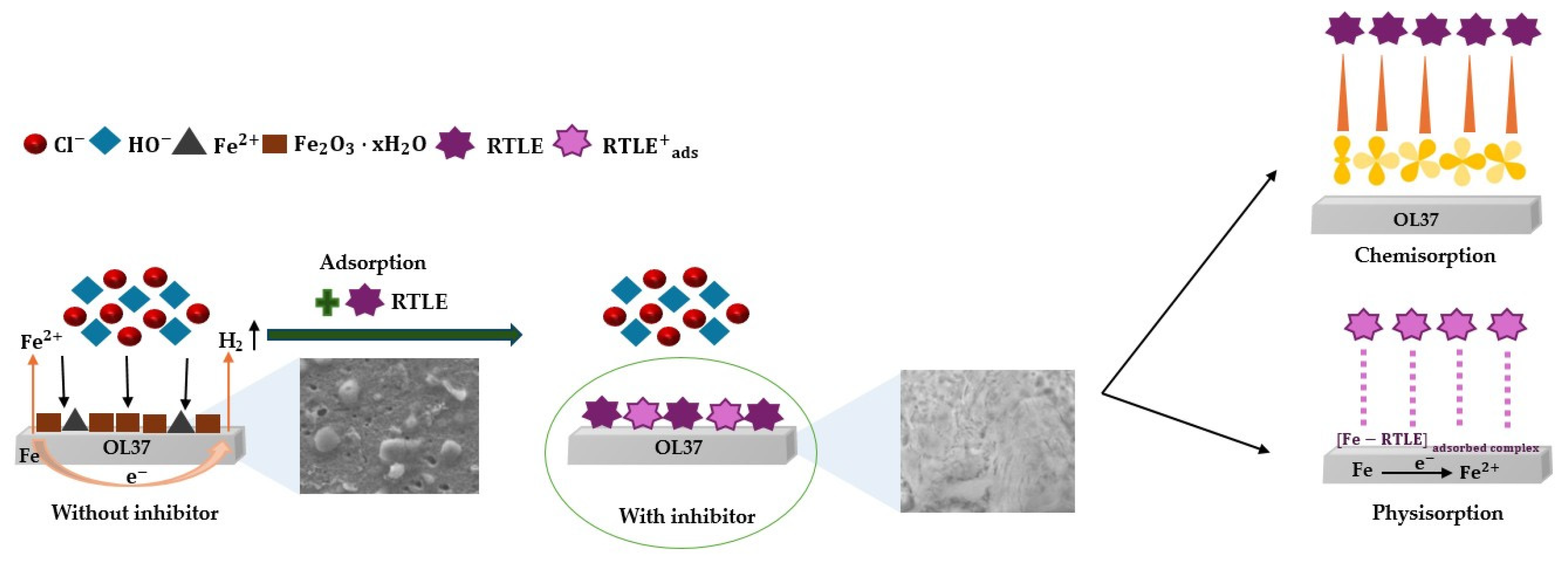Molecules 30 02660 g011 Molecules 30 02660 g011