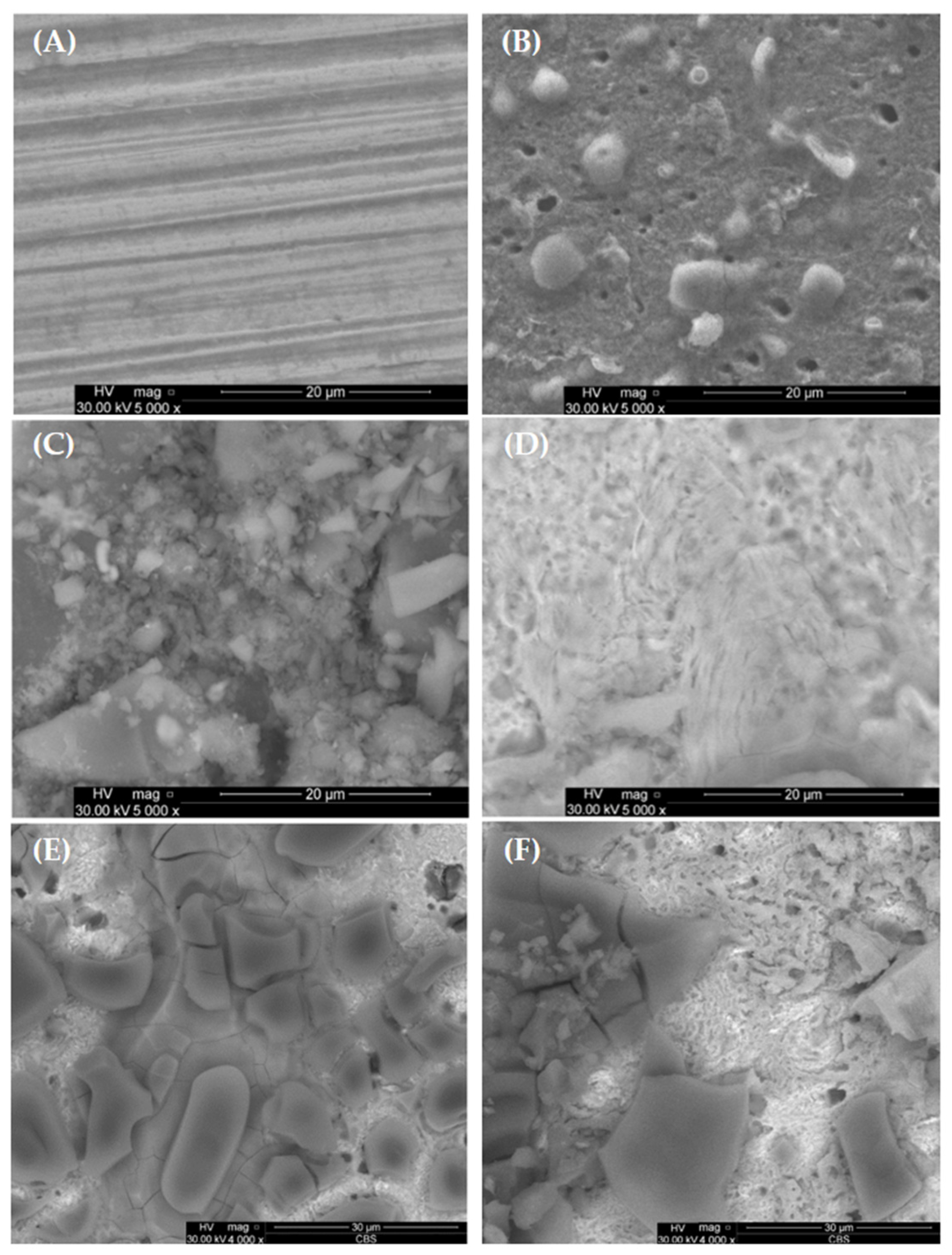 Molecules 30 02660 g012 Molecules 30 02660 g012