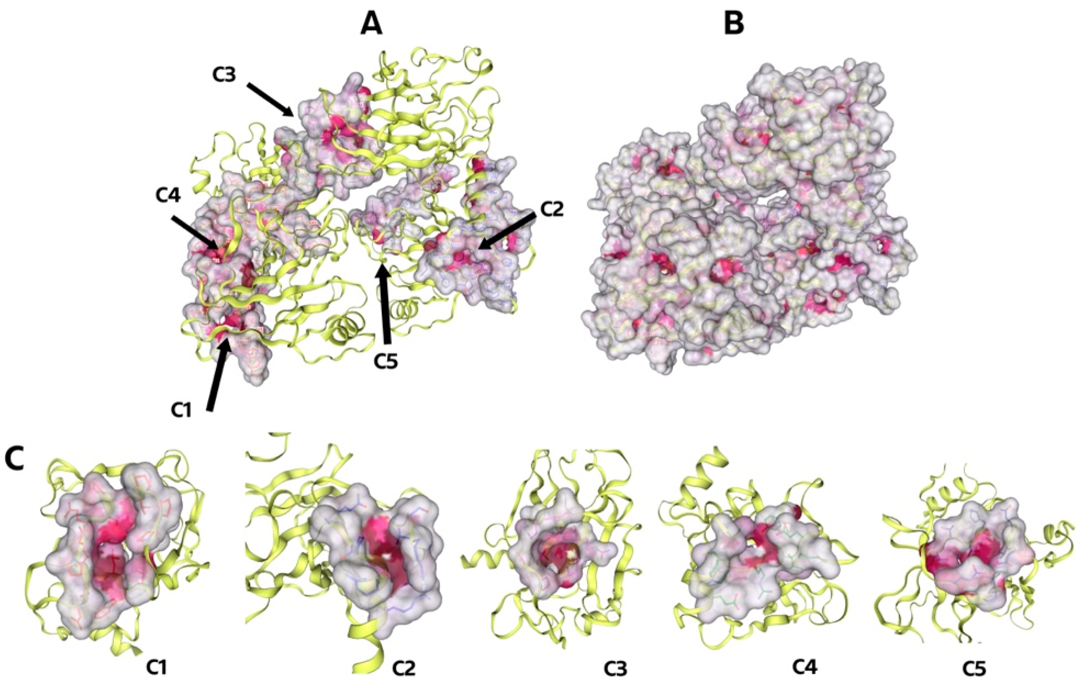 Molecules 30 02661 g003 Molecules 30 02661 g003