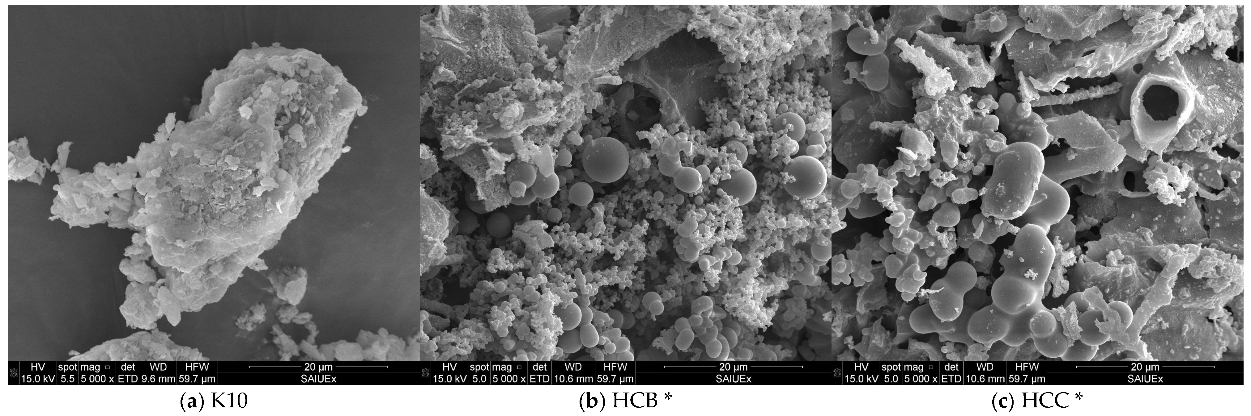 Molecules 30 02674 g004 Molecules 30 02674 g004