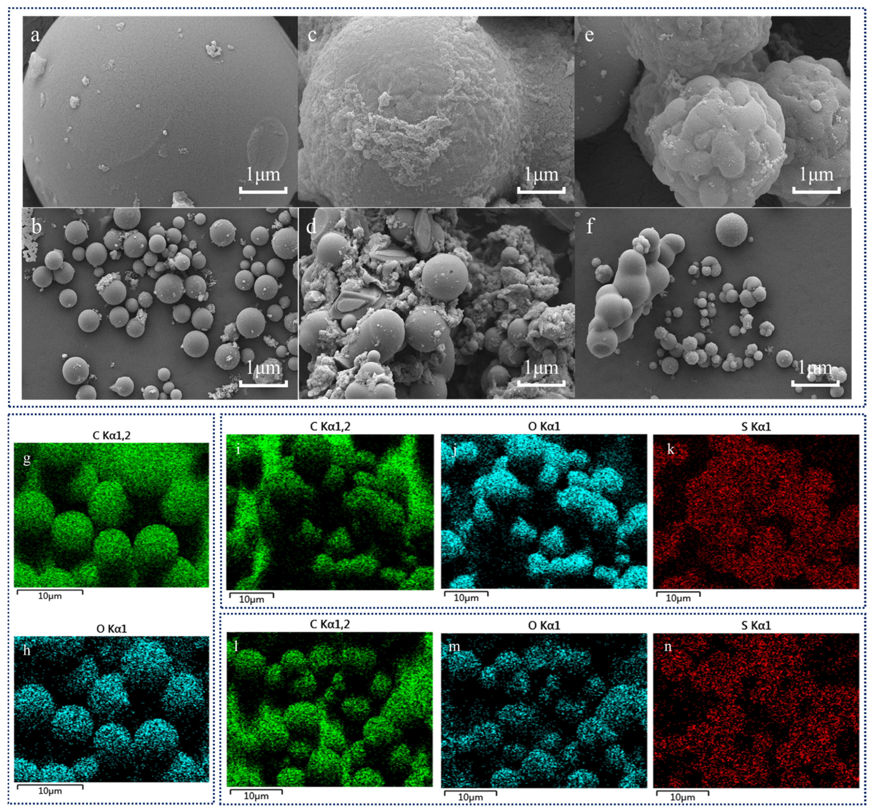 Molecules 30 02675 g001 Molecules 30 02675 g001