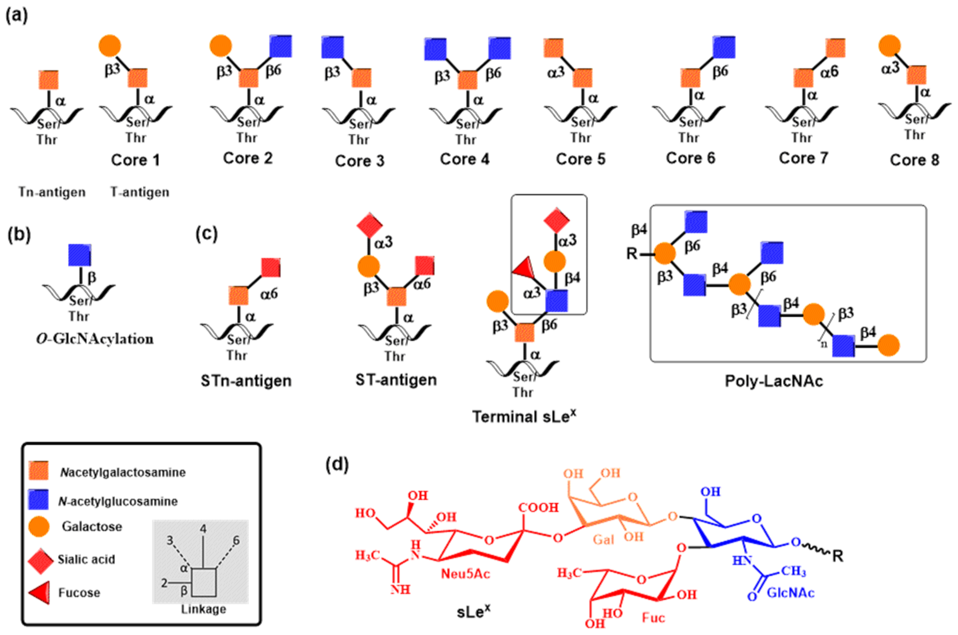 Molecules 30 02678 g002