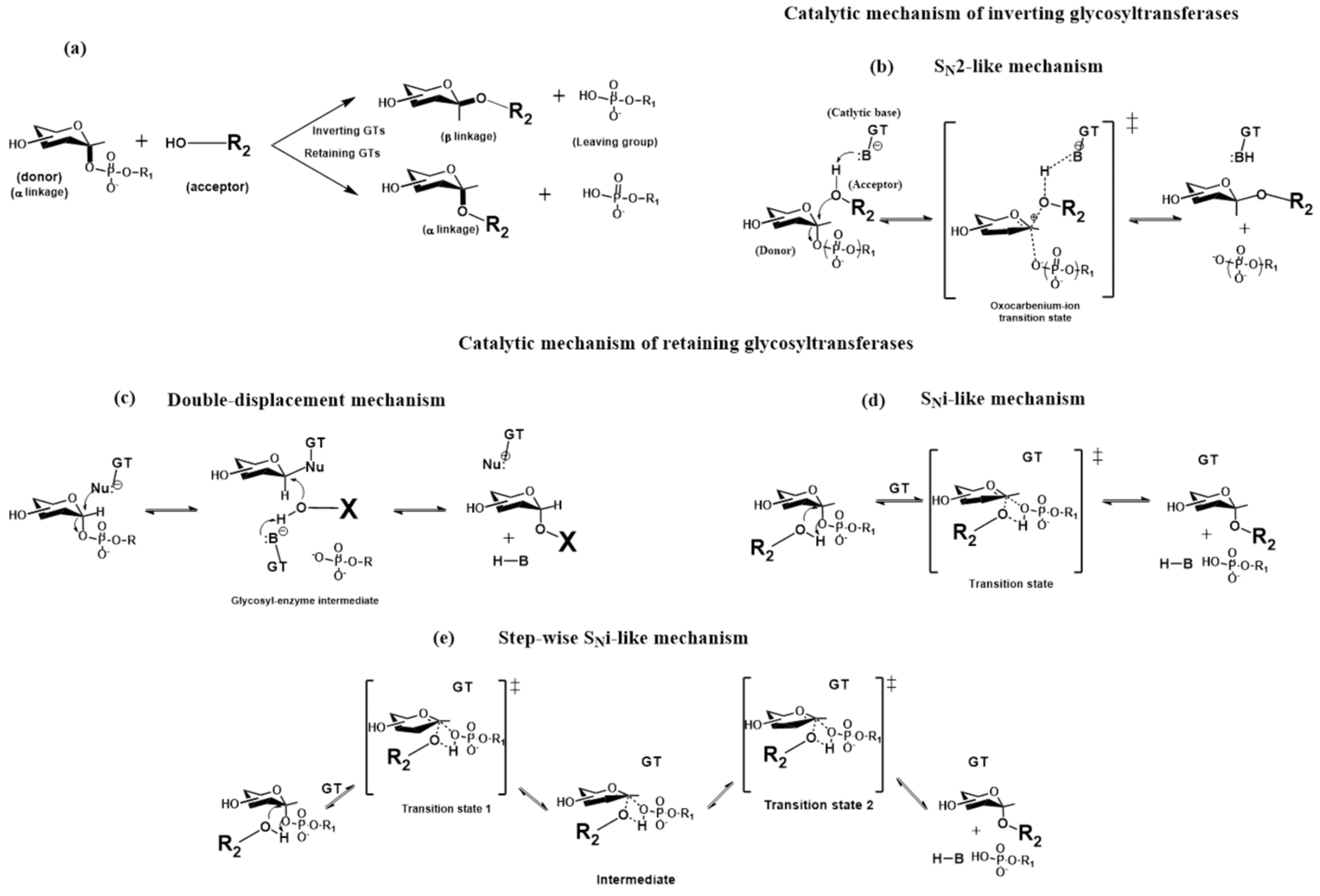 Molecules 30 02678 g004