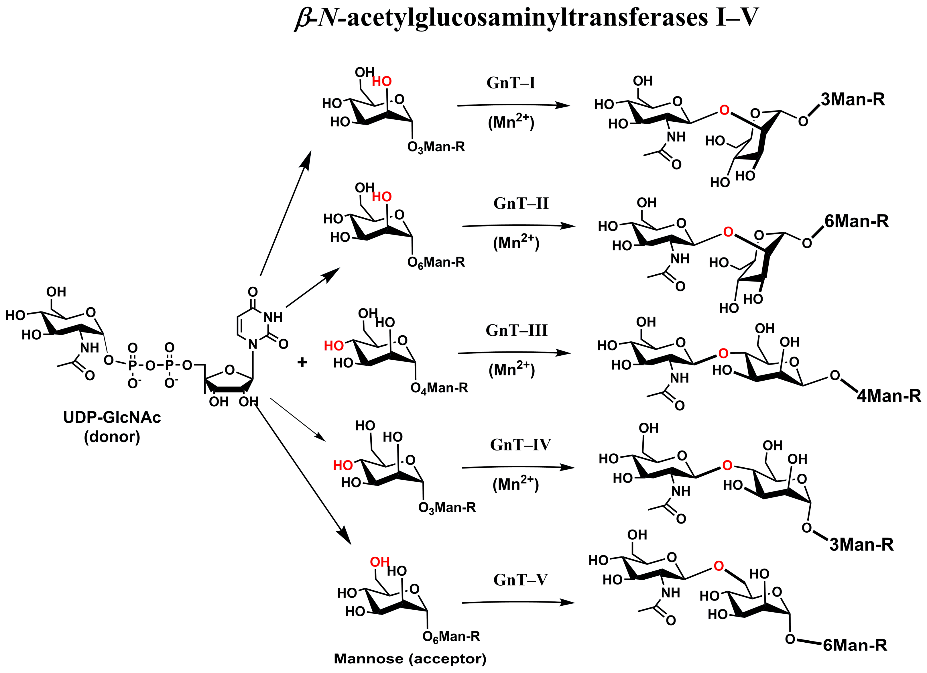 Molecules 30 02678 g005