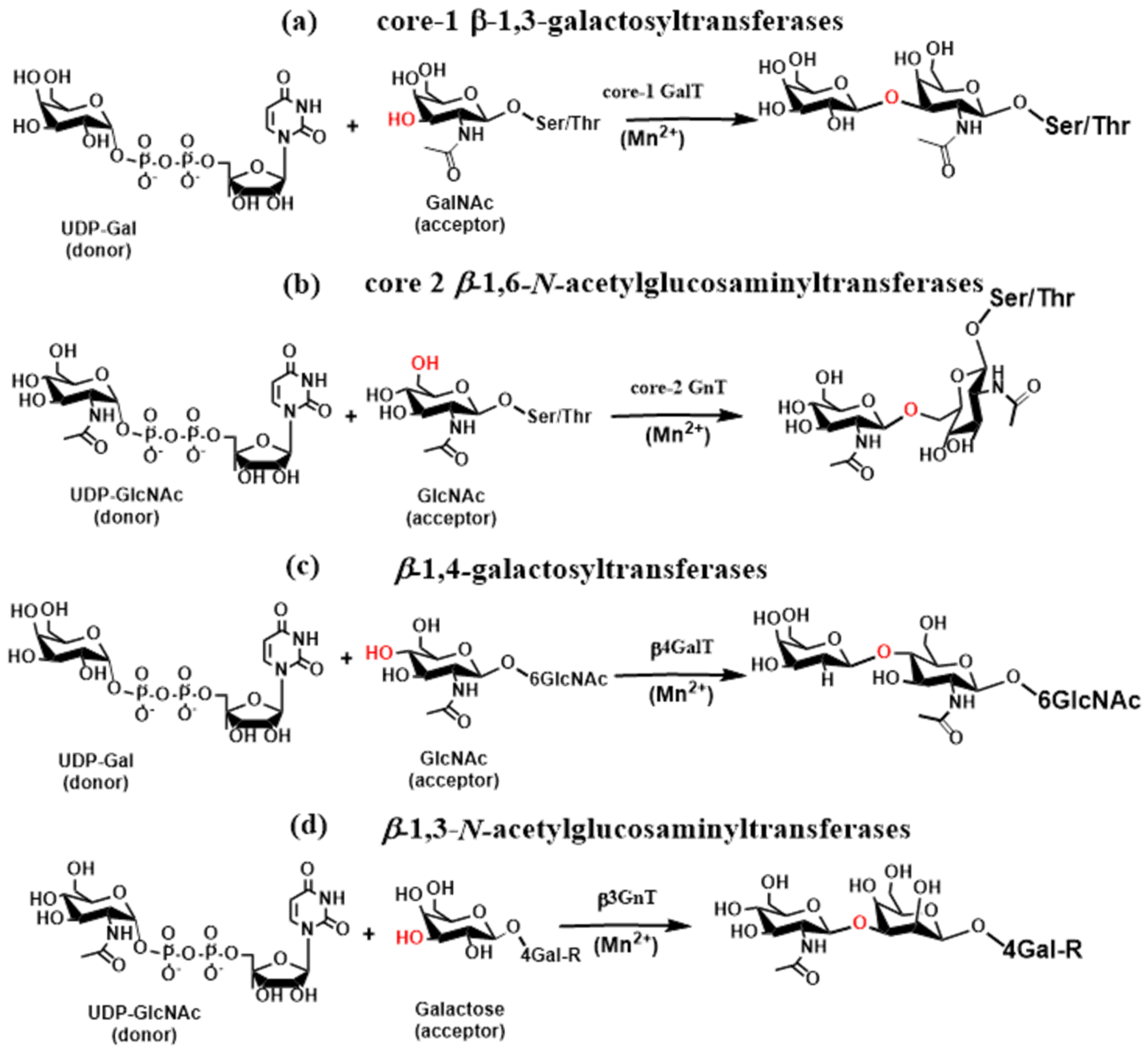 Molecules 30 02678 g006