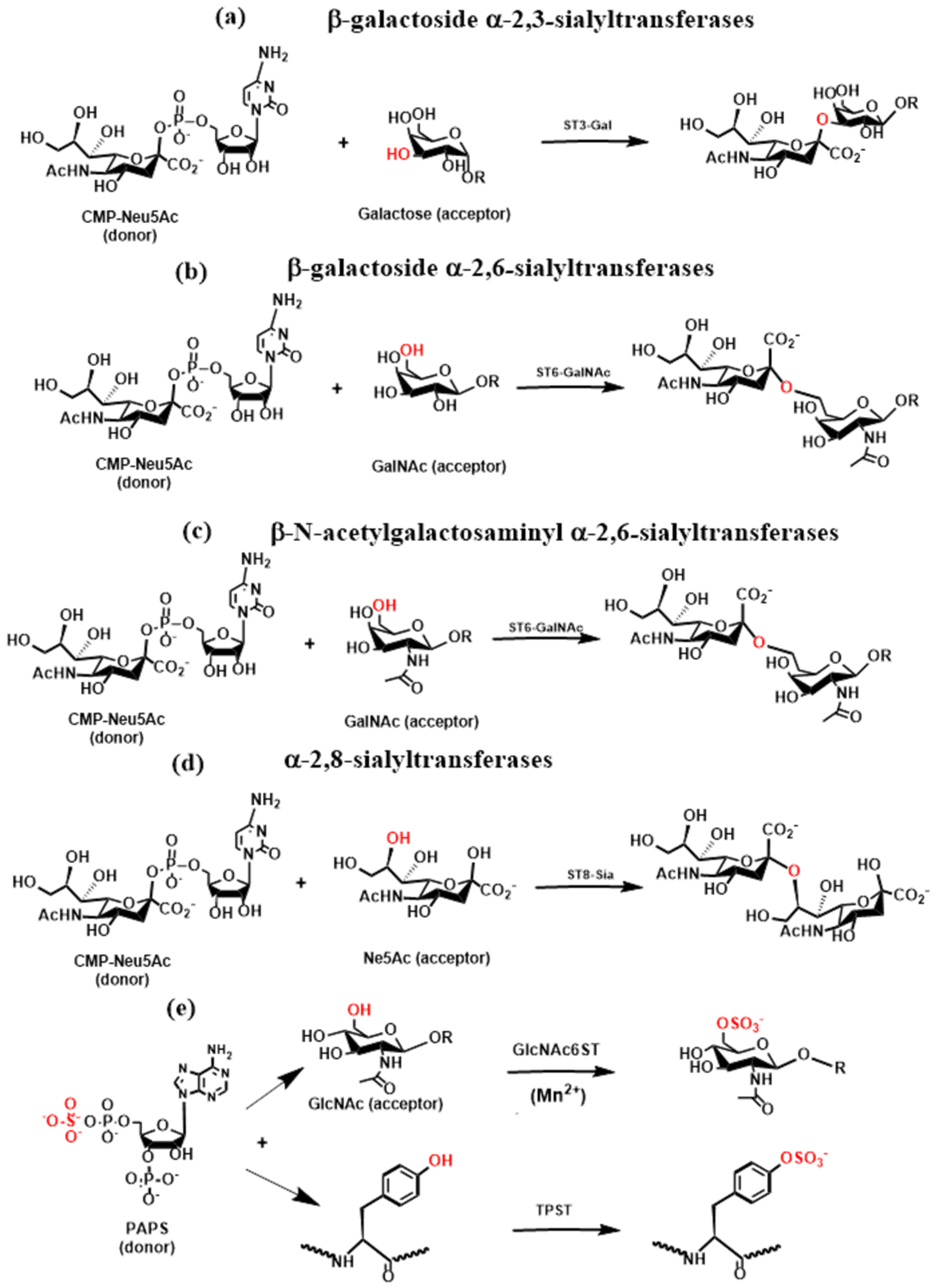Molecules 30 02678 g008