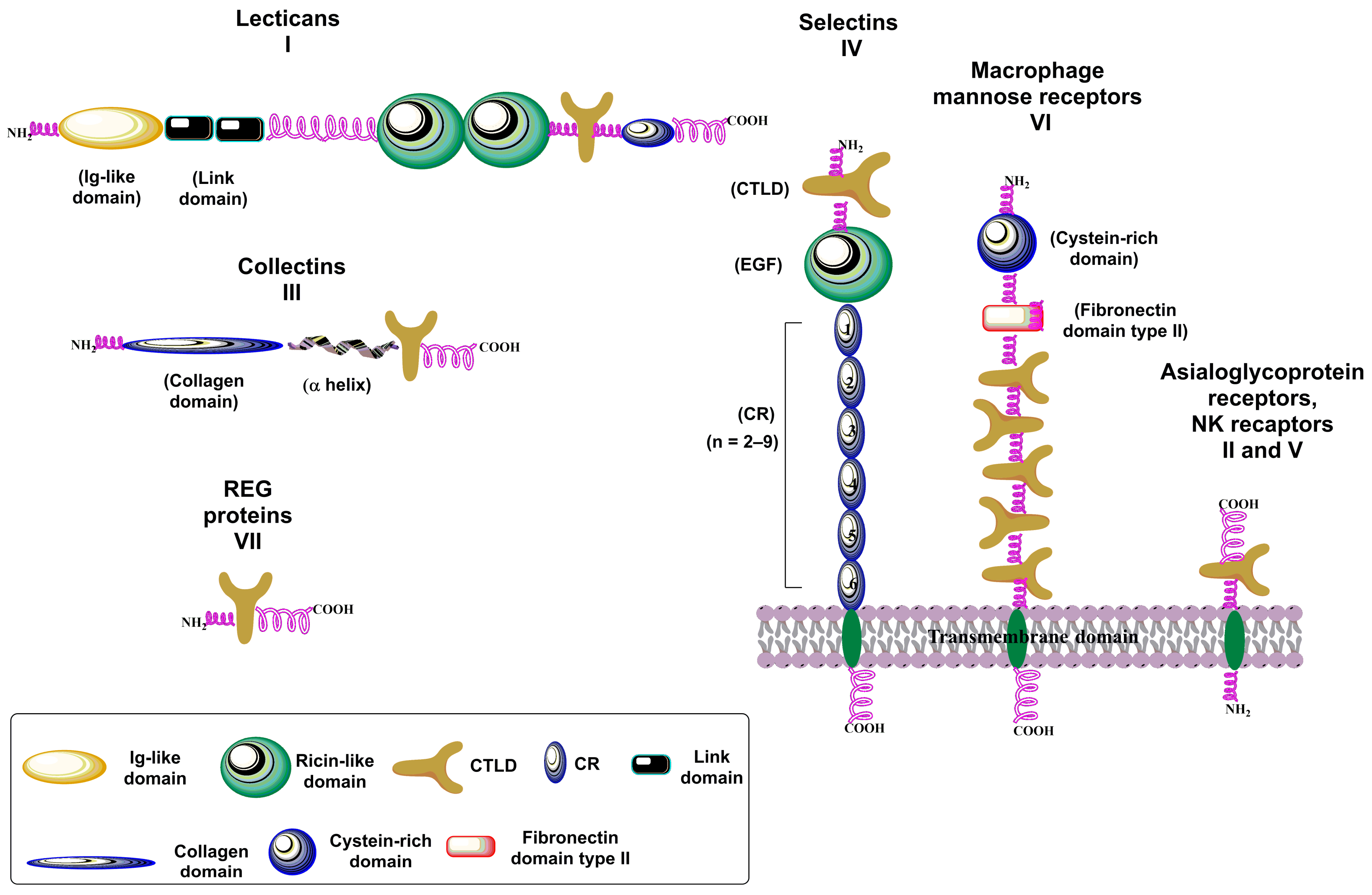 Molecules 30 02678 g009