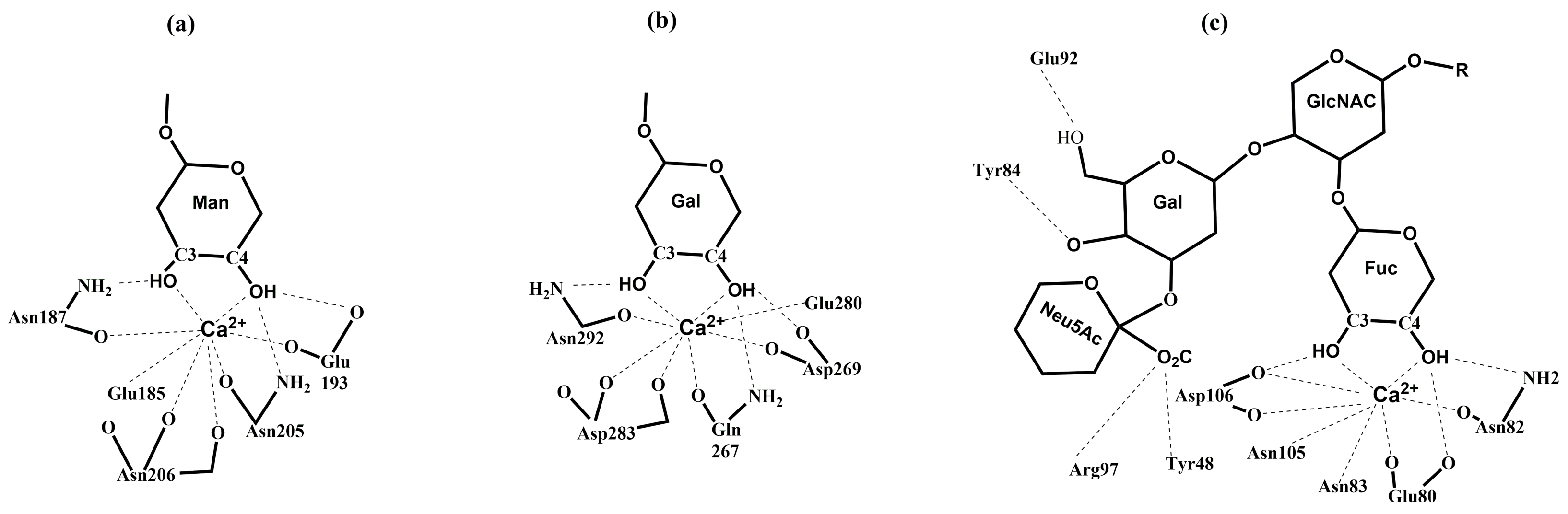 Molecules 30 02678 g010