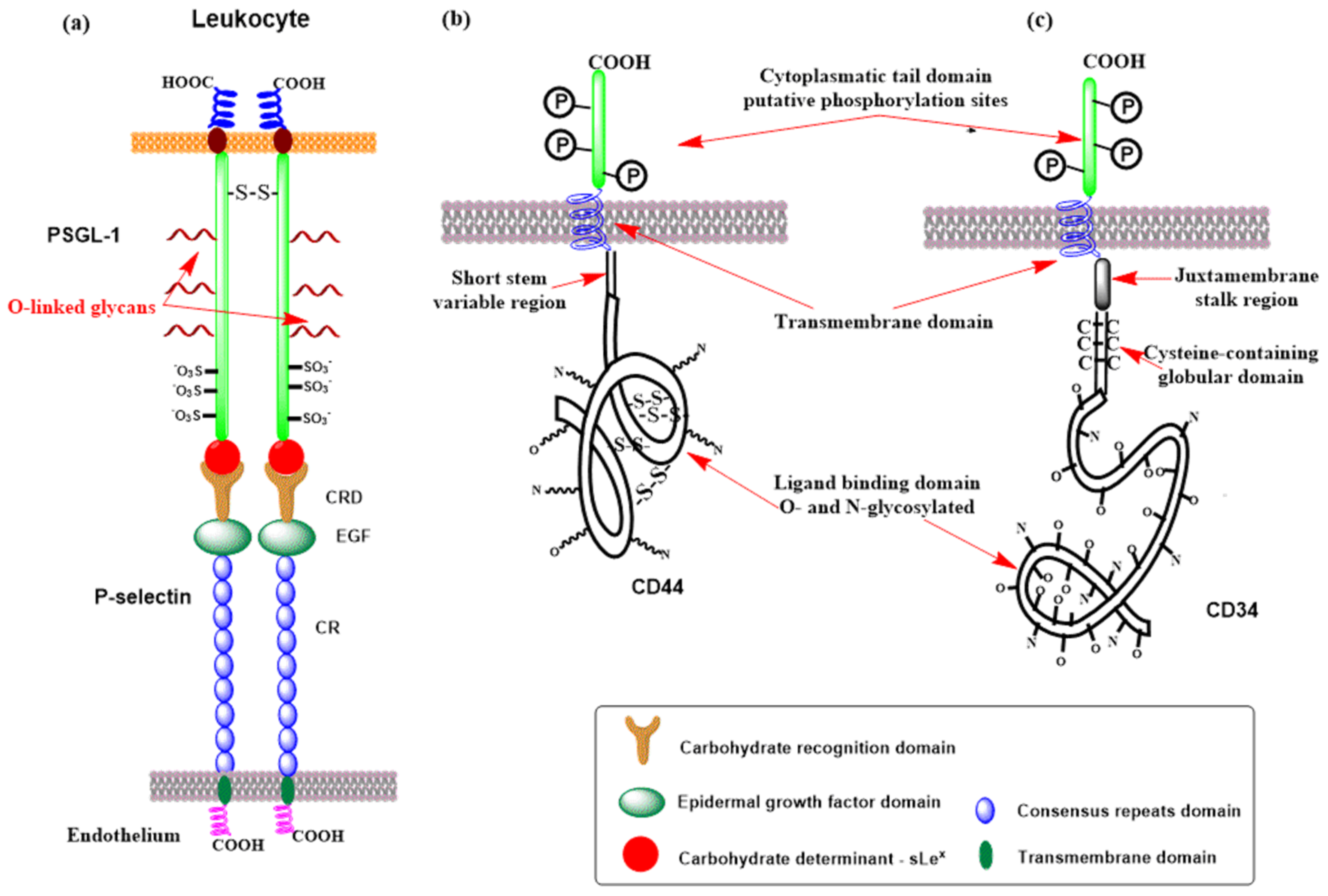 Molecules 30 02678 g014