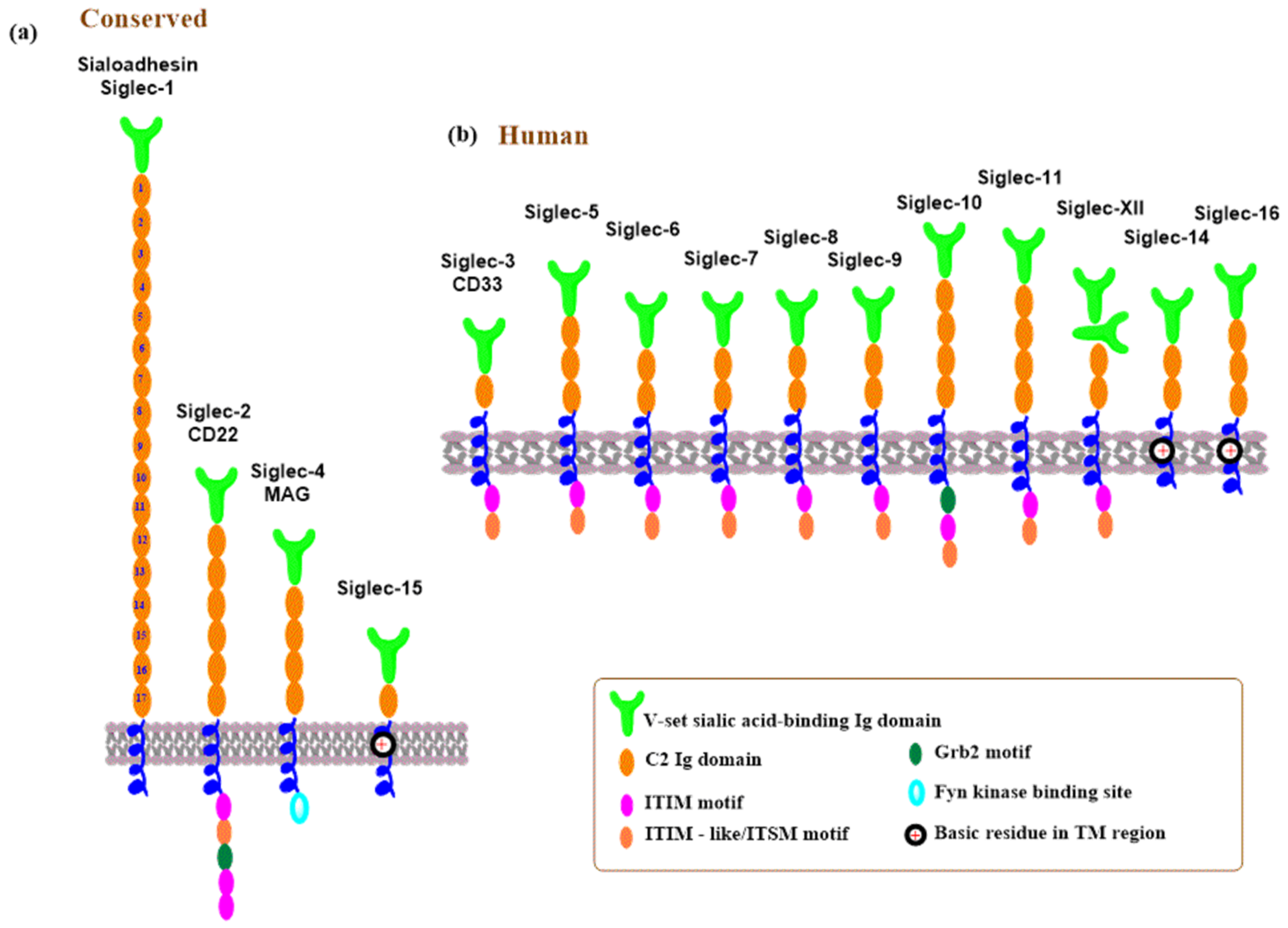 Molecules 30 02678 g015