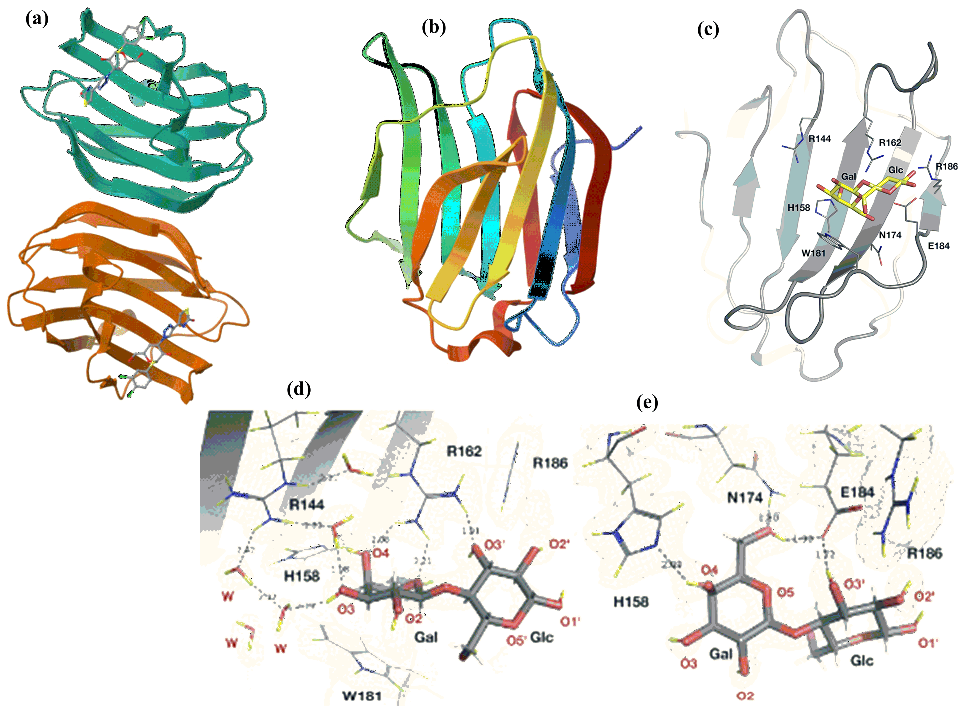 Molecules 30 02678 g018