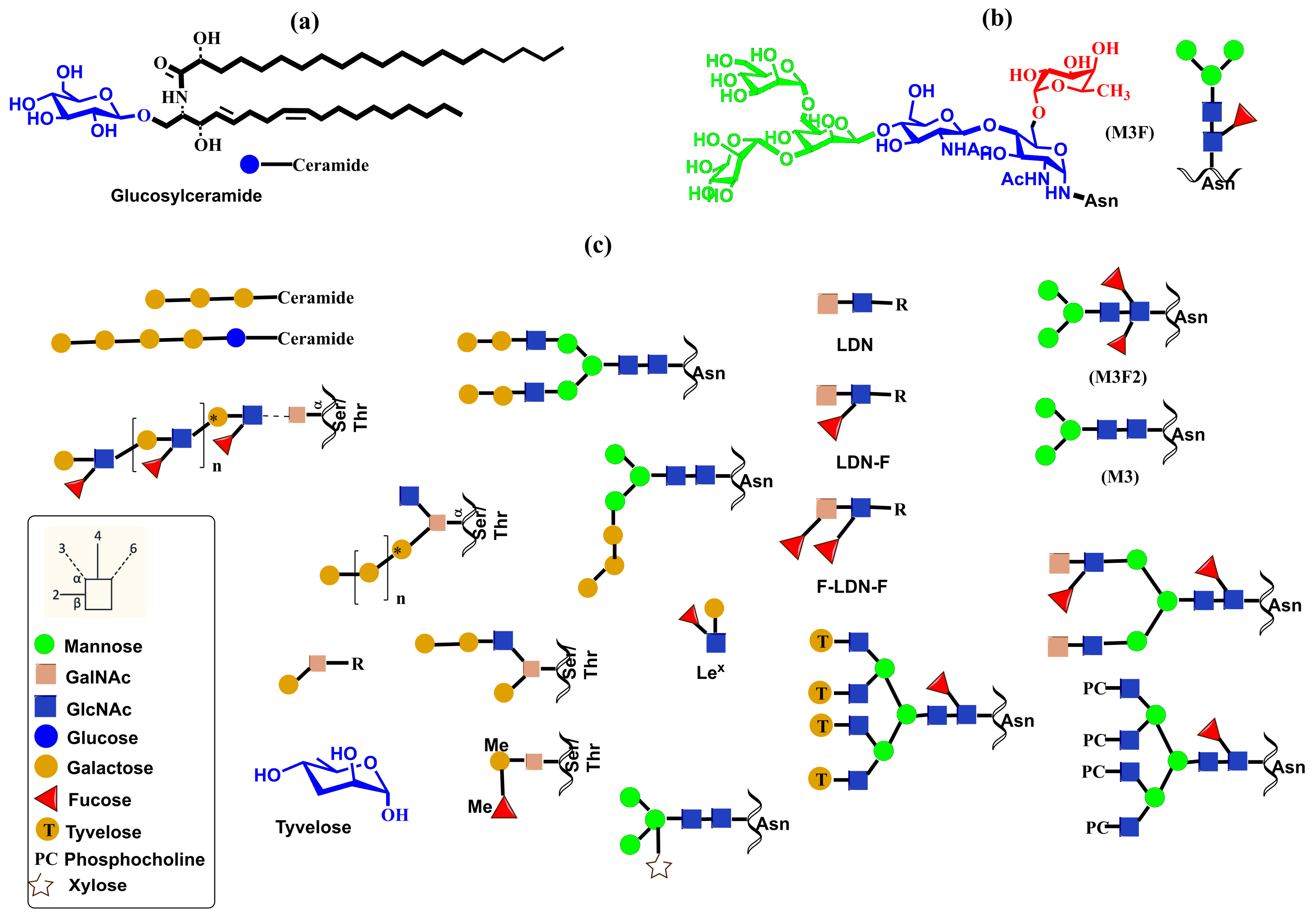 Molecules 30 02678 g020
