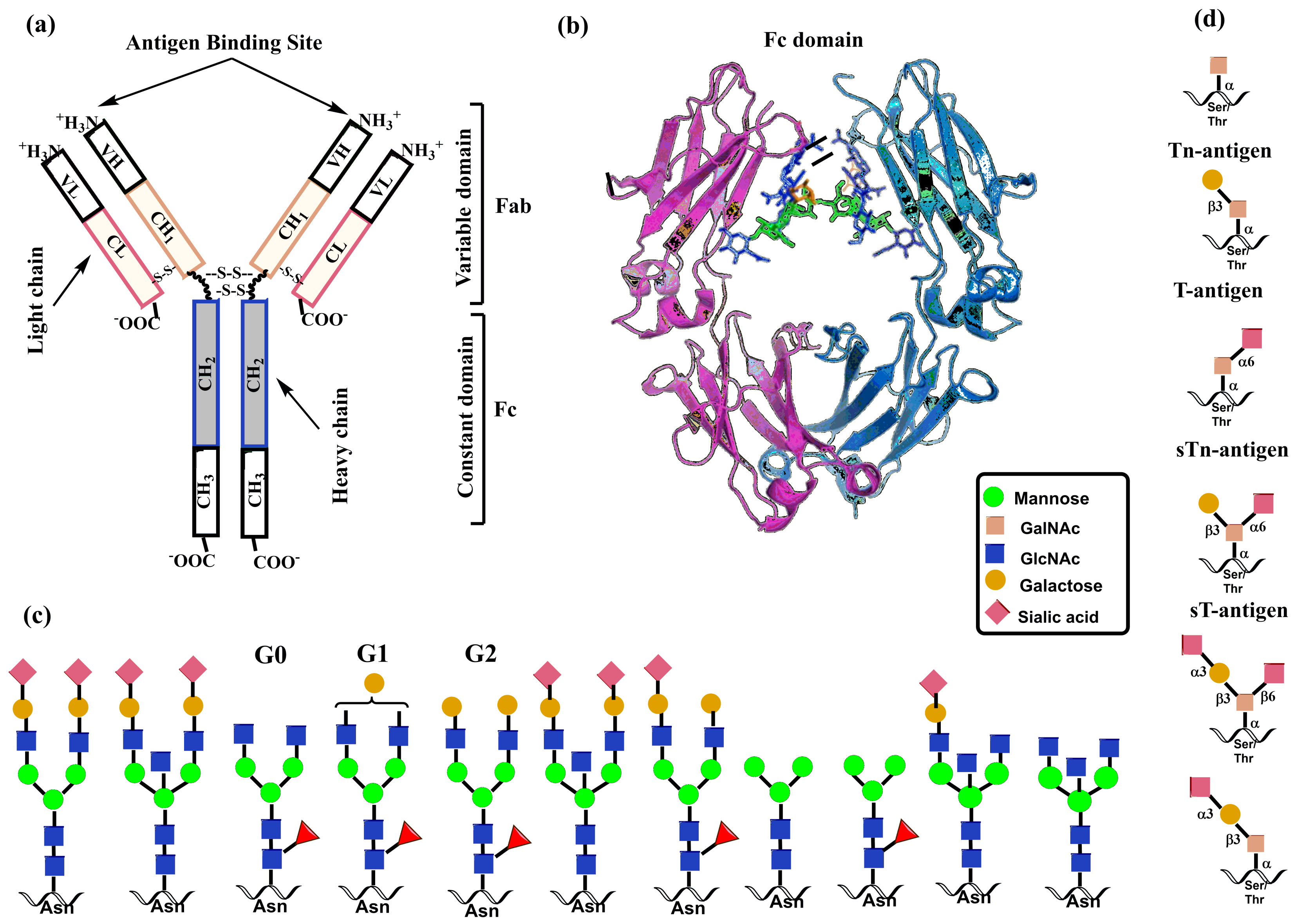 Molecules 30 02678 g021
