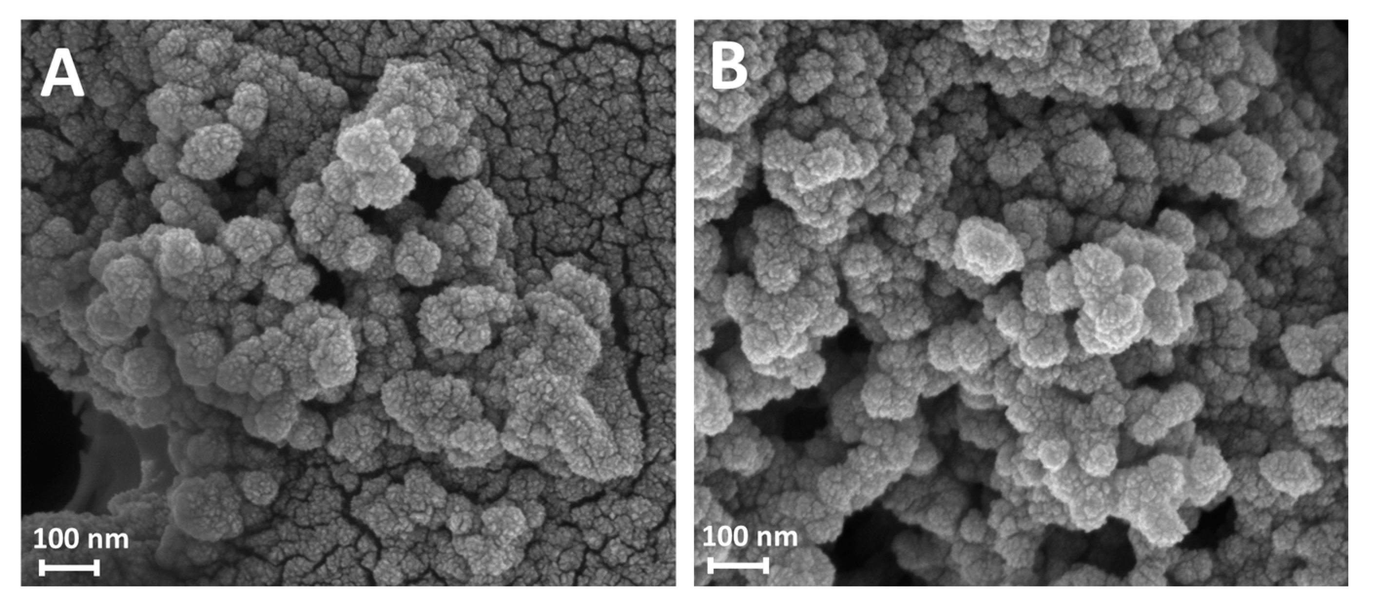 Molecules 30 02689 g002