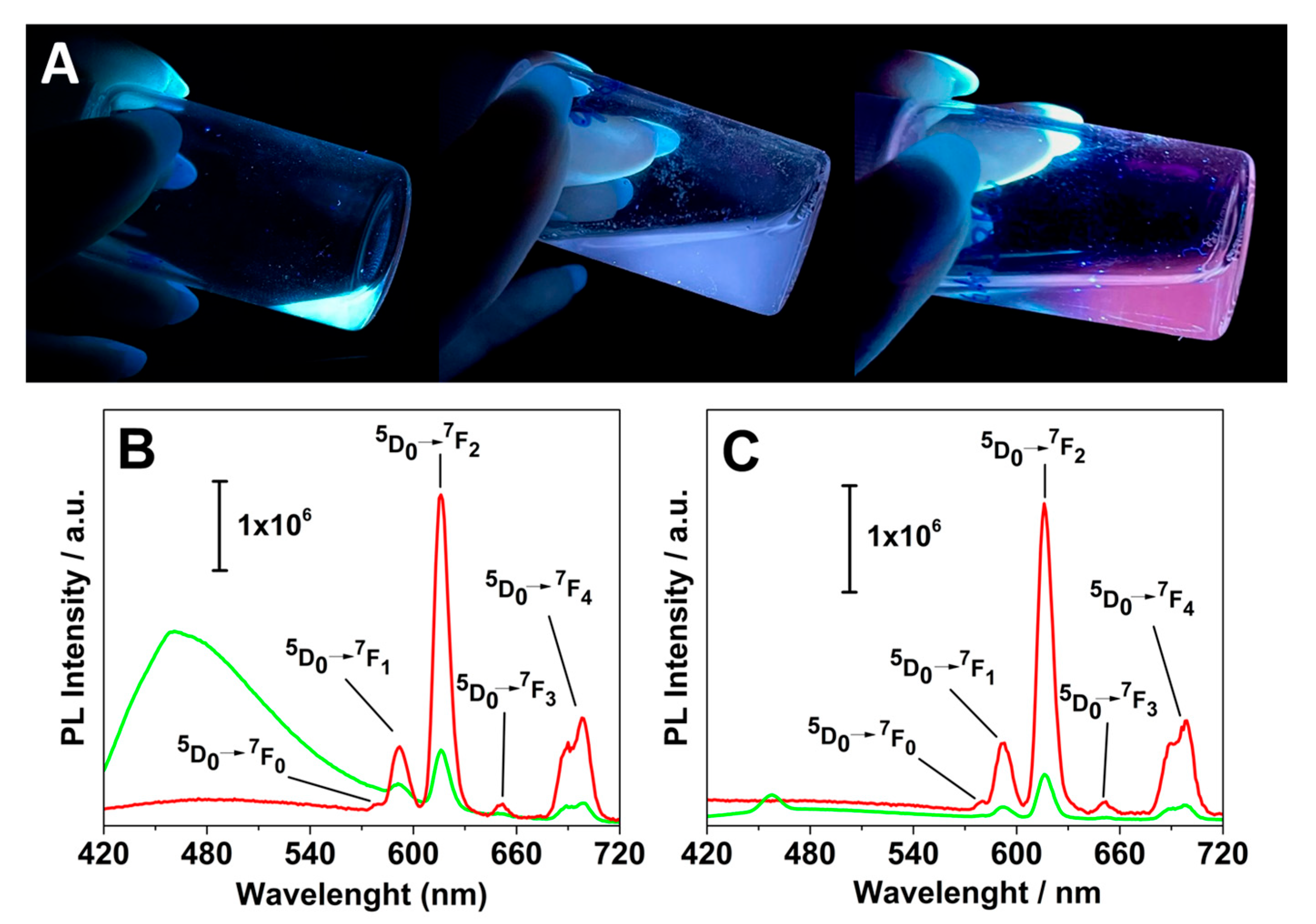 Molecules 30 02689 g006