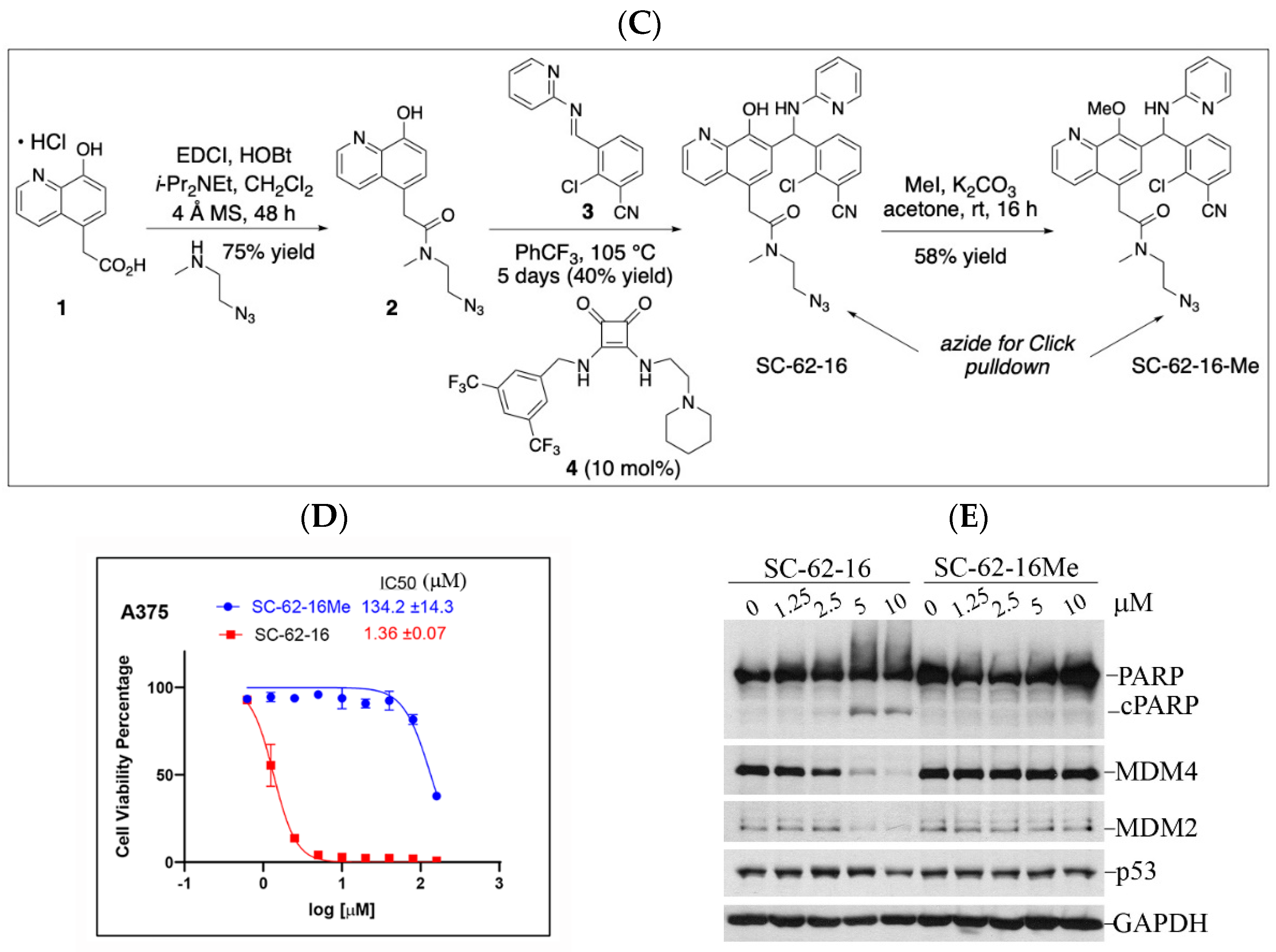Molecules 30 02696 g004b