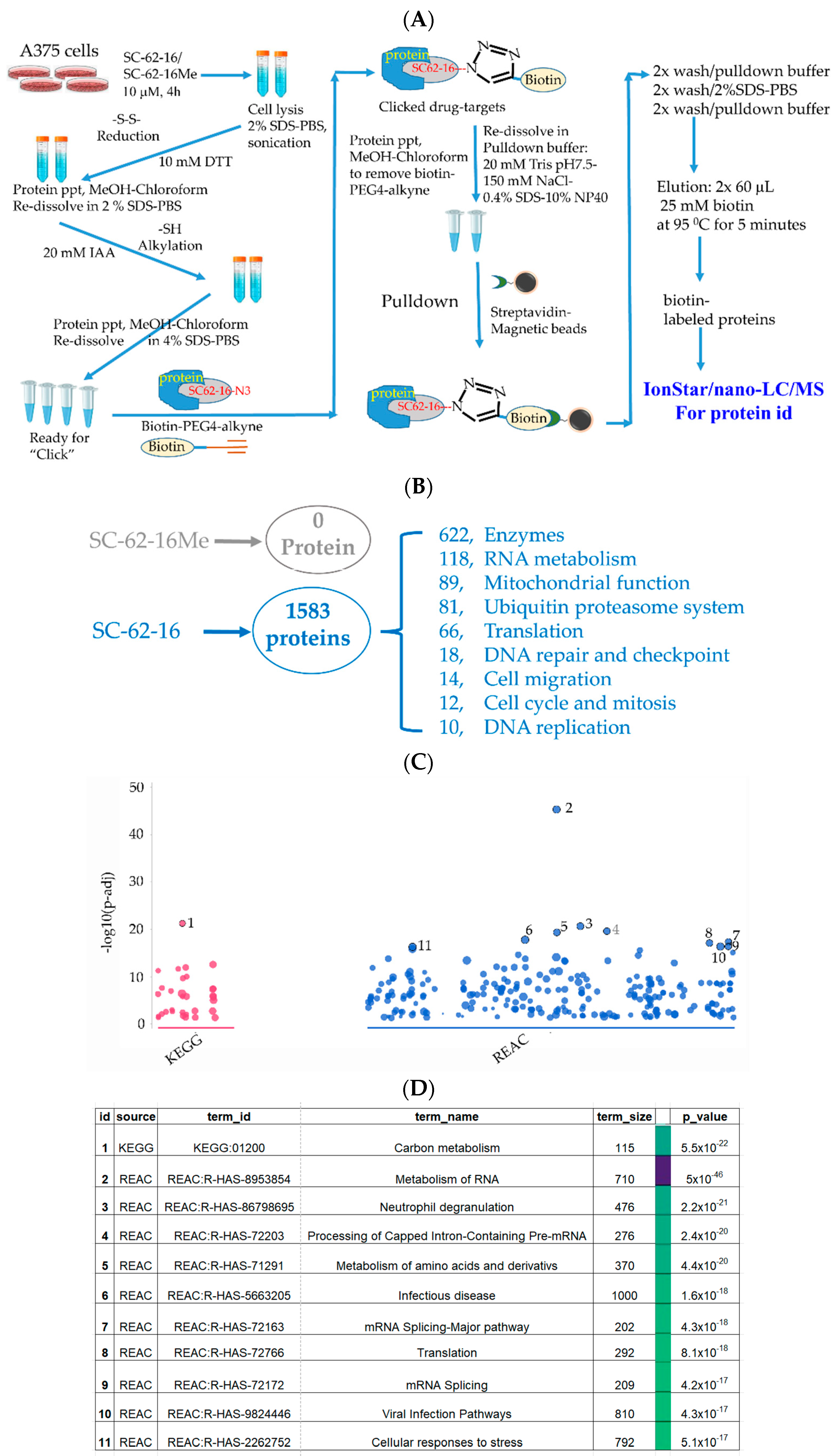 Molecules 30 02696 g005