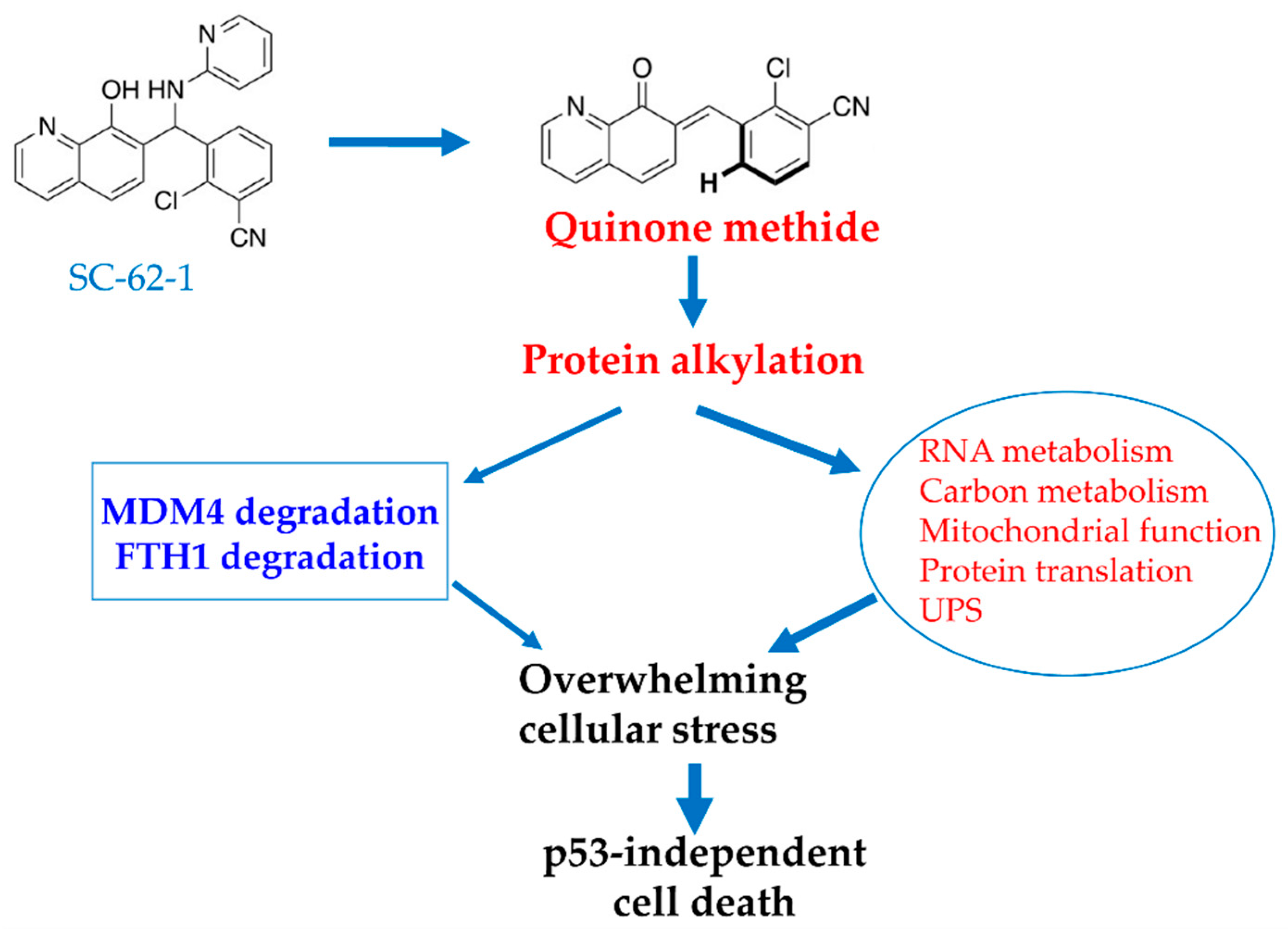 Molecules 30 02696 g006