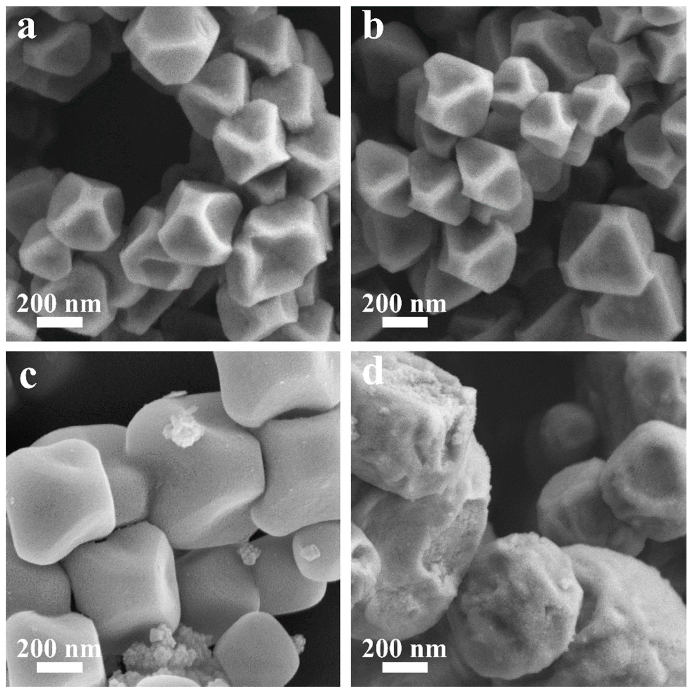 Molecules 30 02697 g002