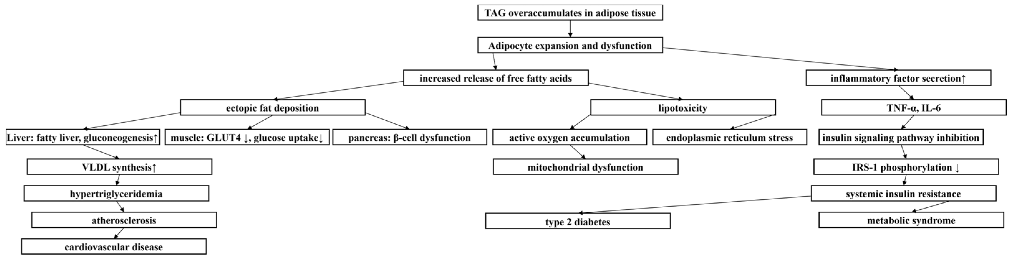 Molecules 30 02701 g001
