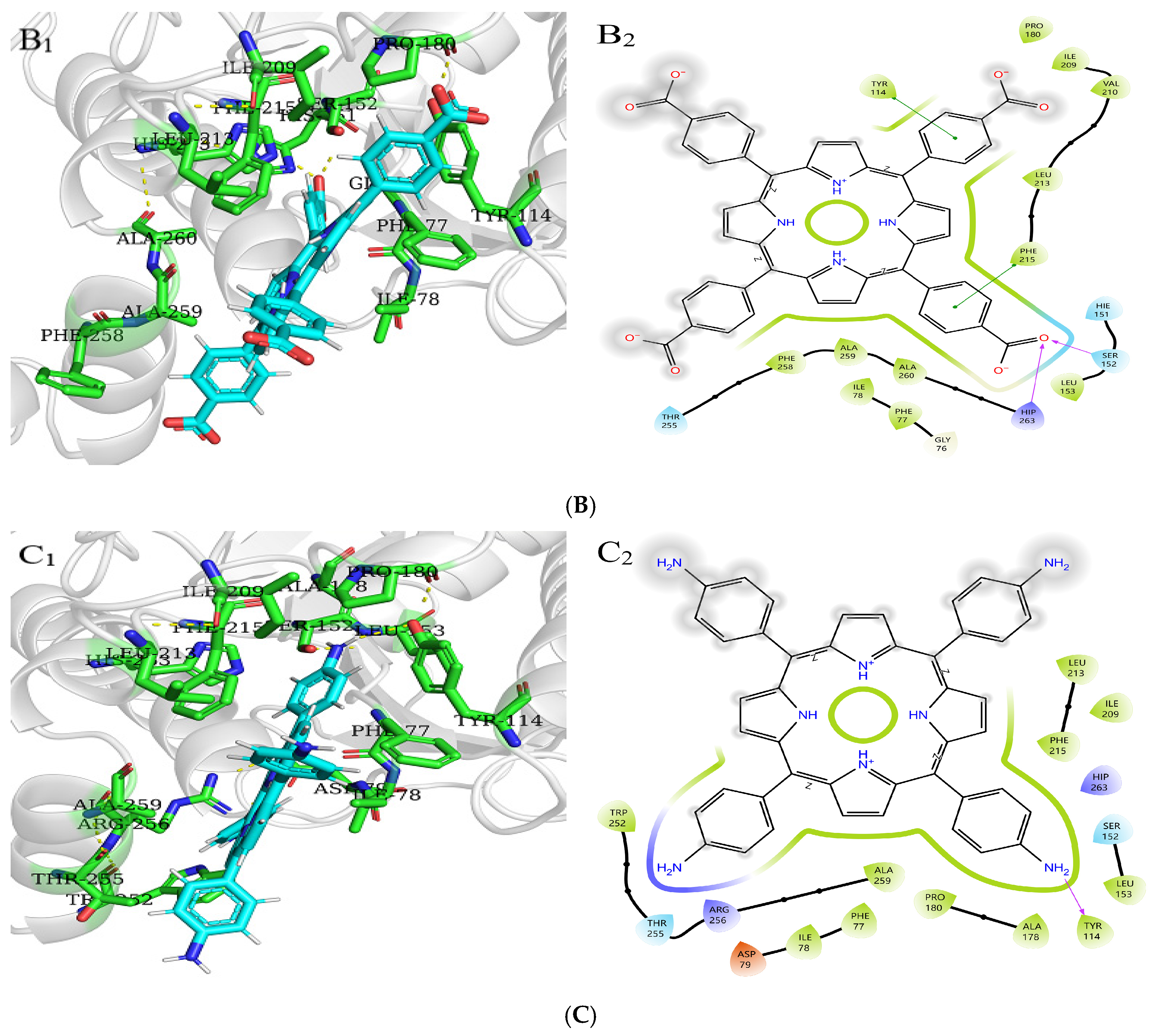 Molecules 30 02701 g011b