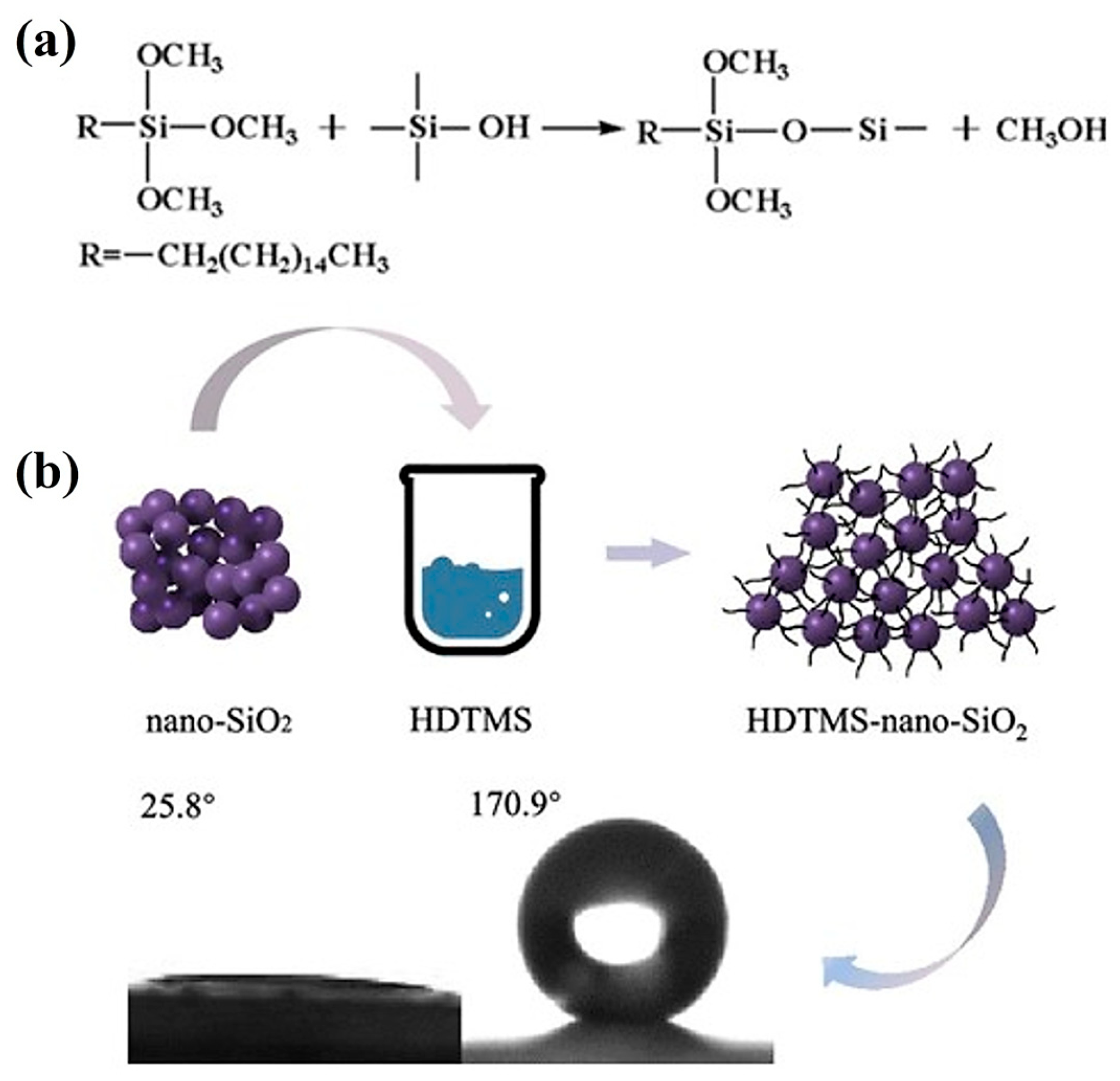 Molecules 30 02705 g003