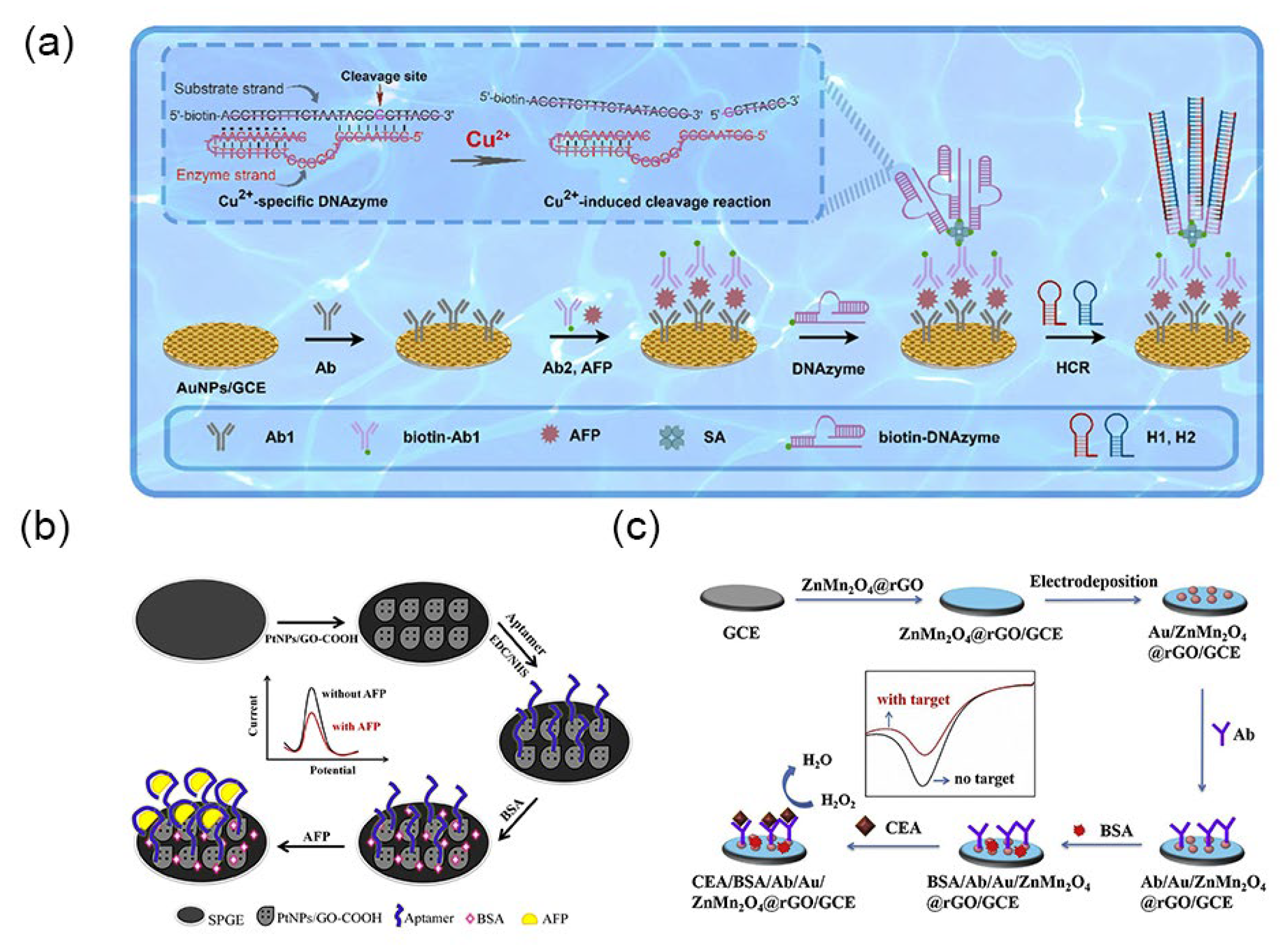 Molecules 30 02708 g004