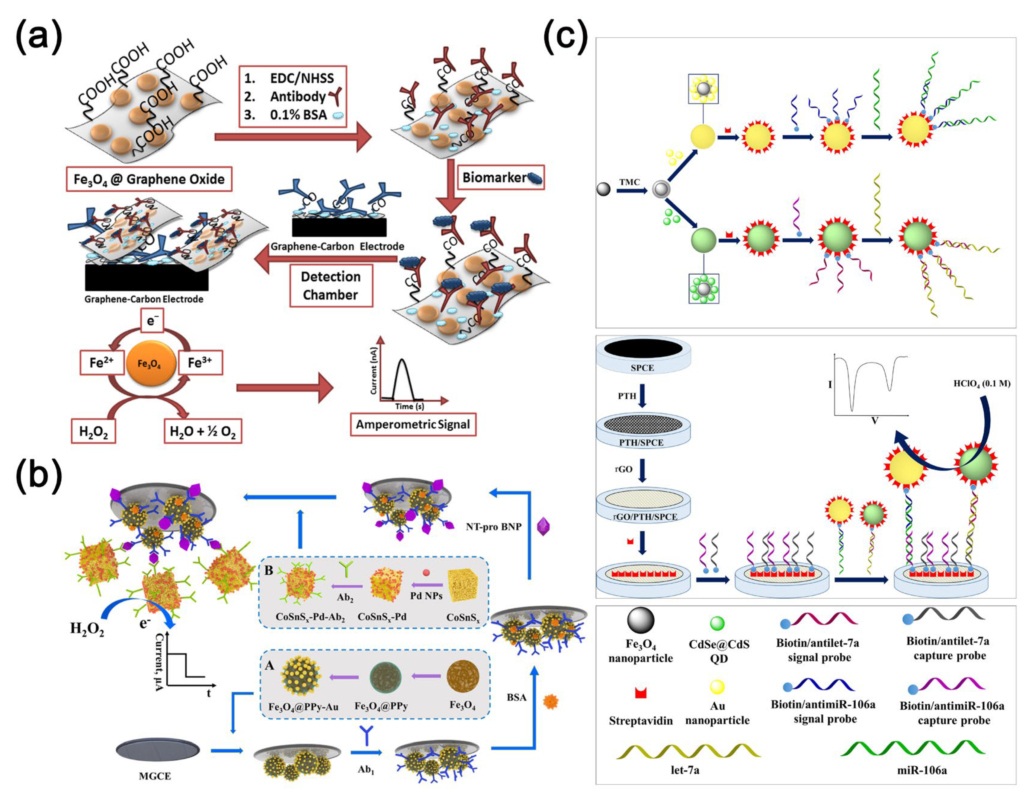 Molecules 30 02708 g005